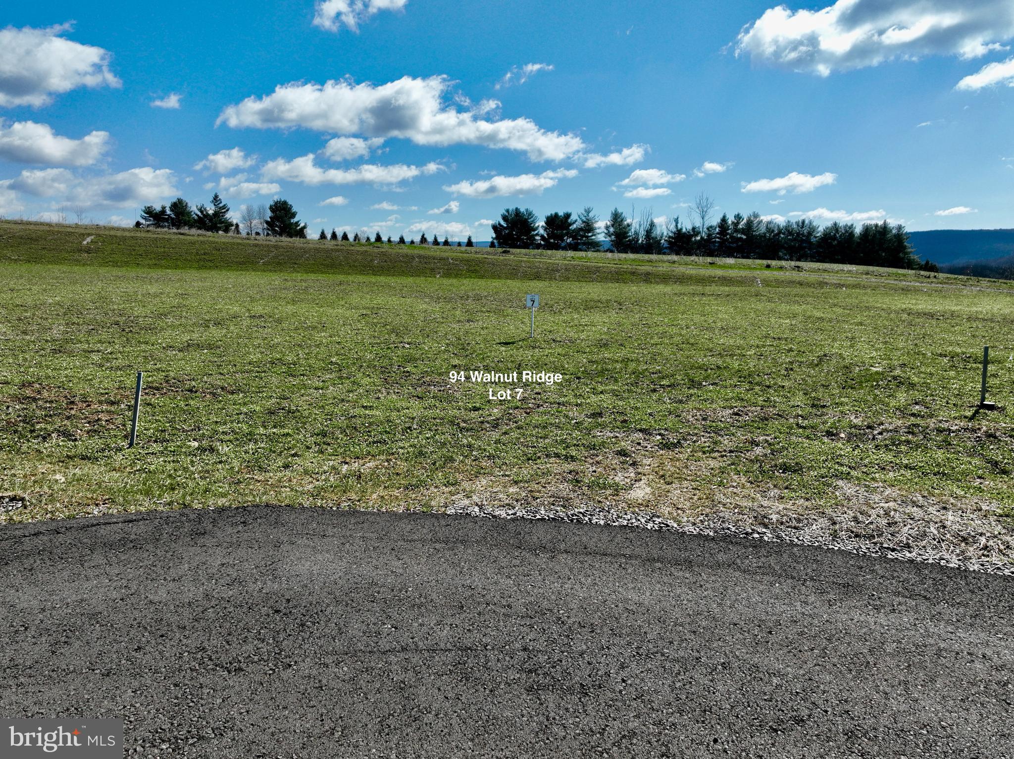 94 Walnut Ridge Grantsville, MD 21536 - Photo 3 of 14