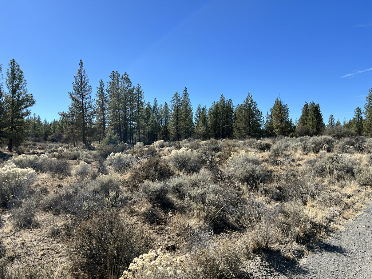 Oregon Pines Road, Unit TL 600 Sprague River, OR 97639 - Photo 27 of 52 IMG_4312