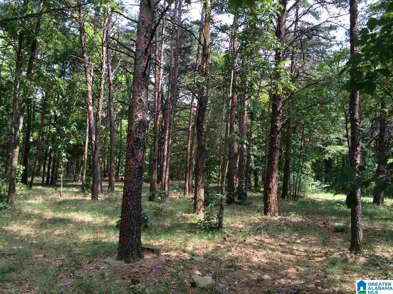 720 Mountain Ridge Road Oneonta, AL 35121 - Photo 13 of 47