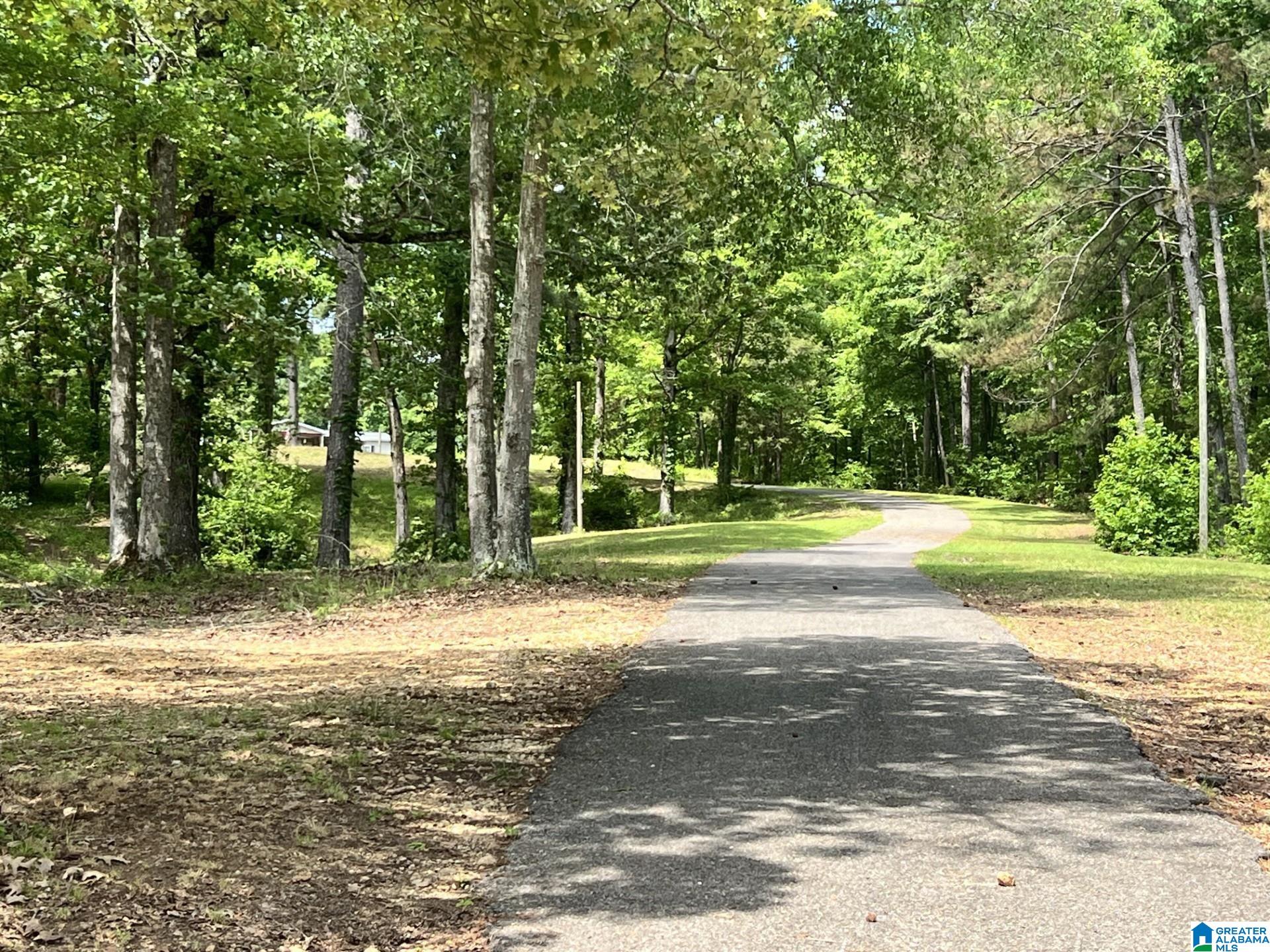 610 Tomahawk Trail Riverside, AL 35135 - Photo 19 of 20