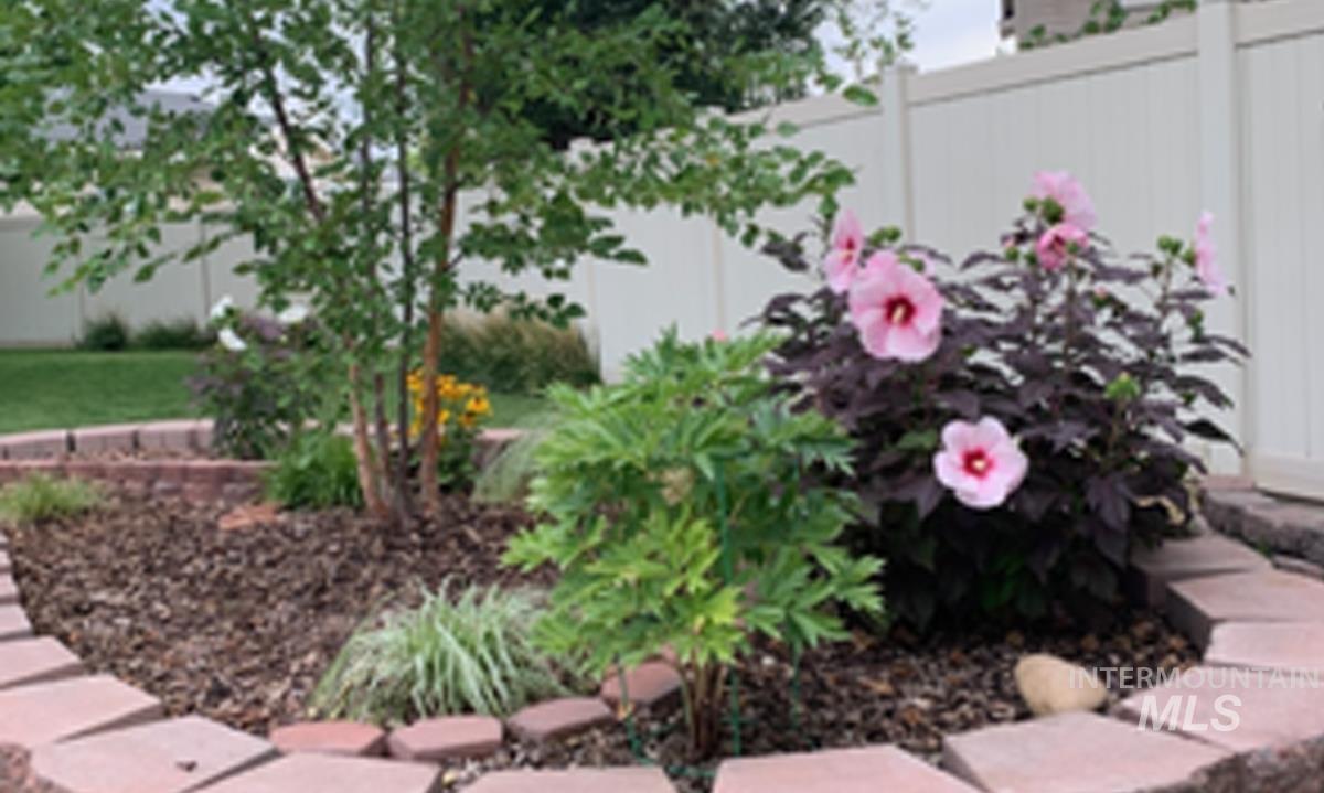 1513 Fairway Street Middleton, ID 83644 - Photo 19 of 20 View of yard in bloom in the summer, lots of flowering bushes look amazing!