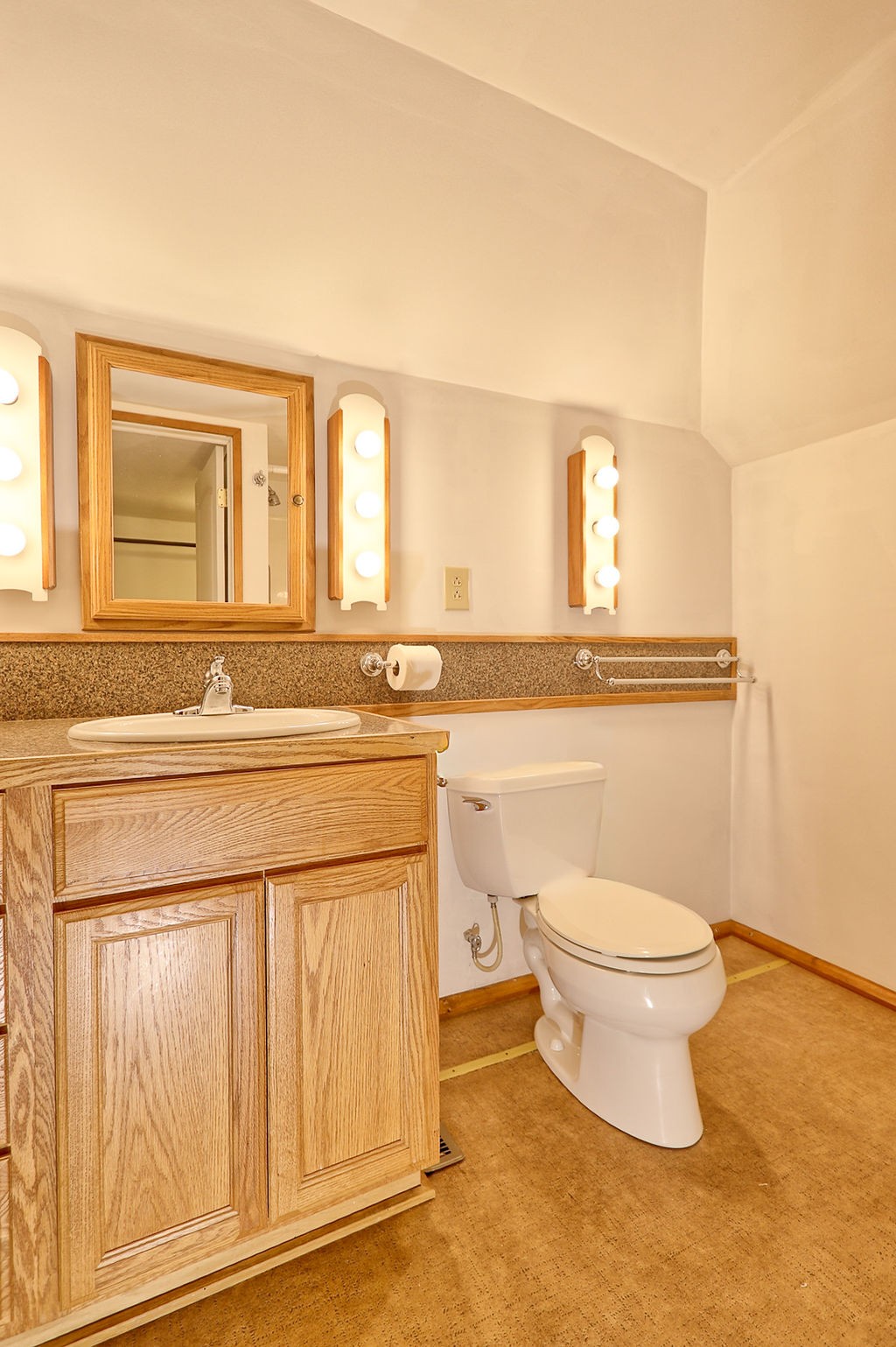 1053 Sam Johnson Road Columbia, TN 38401 - Photo 44 of 53 a bathroom with a toilet a sink and mirror