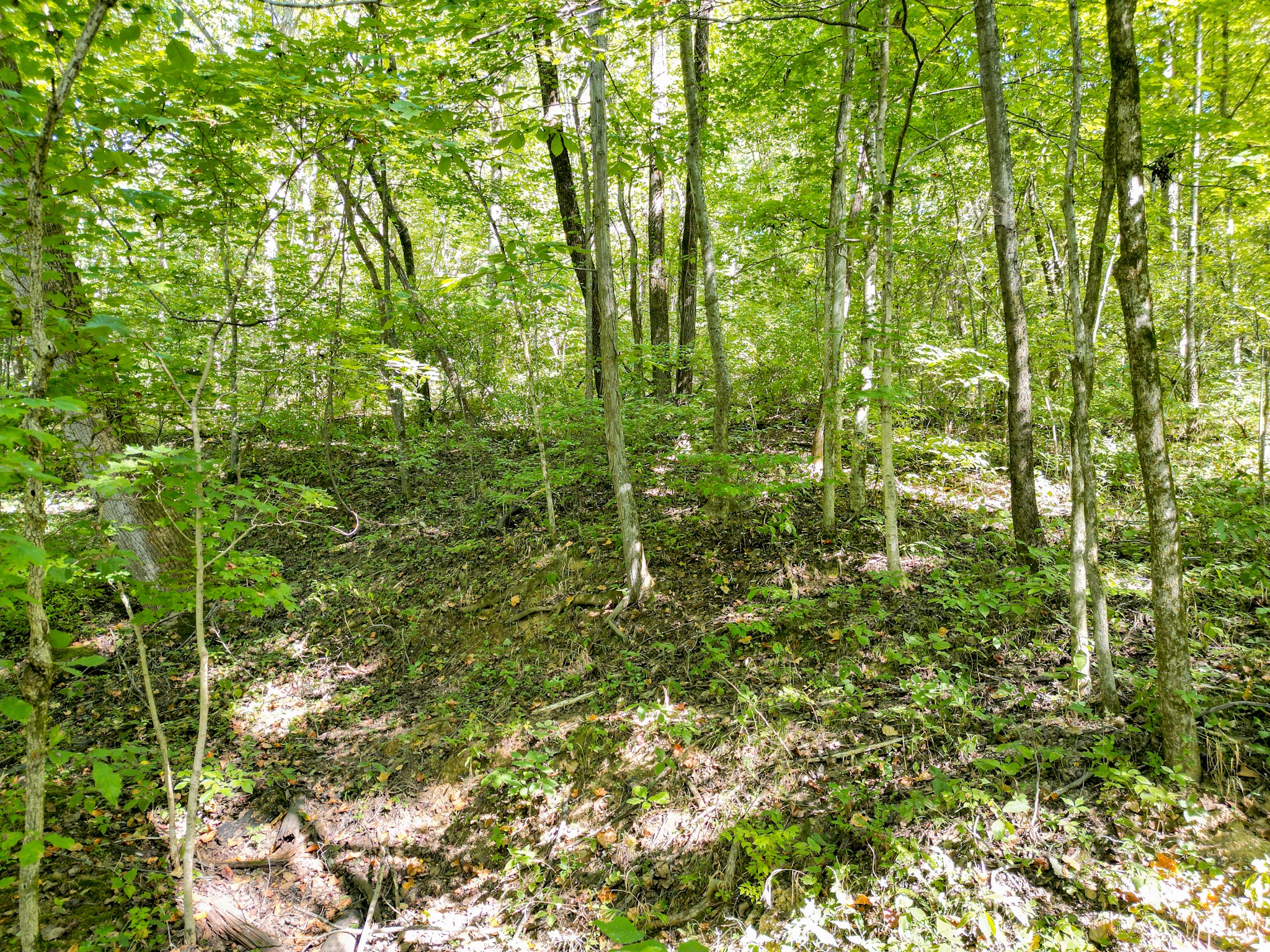 1053 Sam Johnson Road Columbia, TN 38401 - Photo 49 of 53