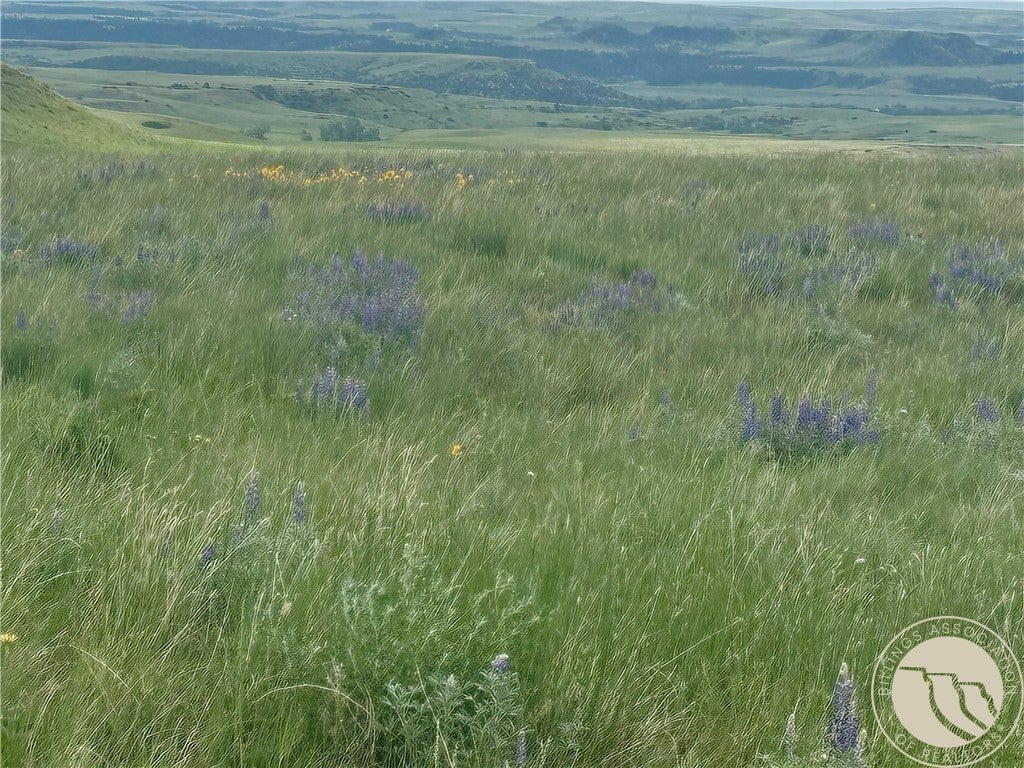 15.9-ac Buck Creek Road Absarokee, MT 59001 - Photo 4 of 29 Gallery Image 4