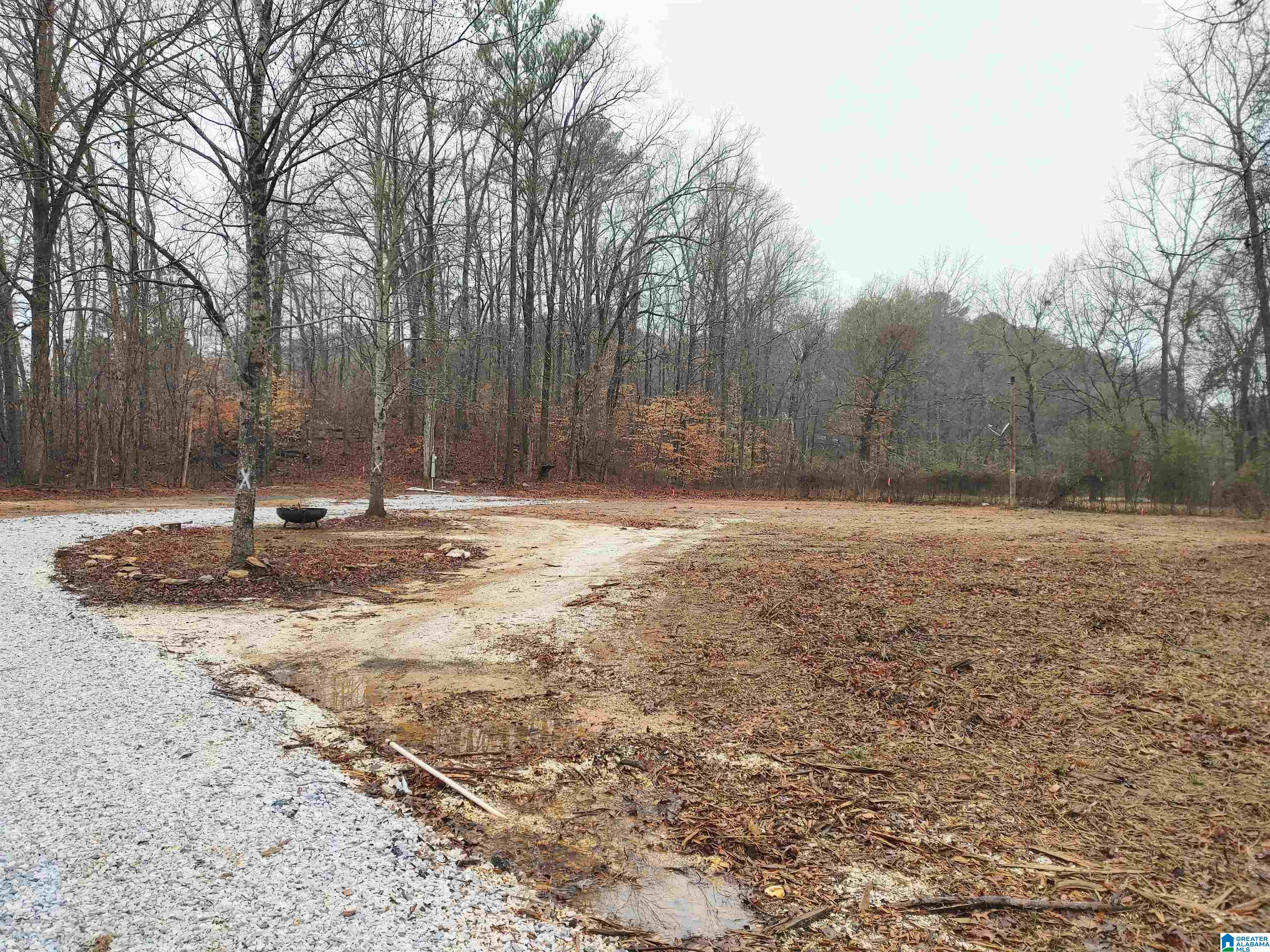 144 Lake Howard Road, Unit 144 Sylacauga, AL 35150 - Photo 3 of 3