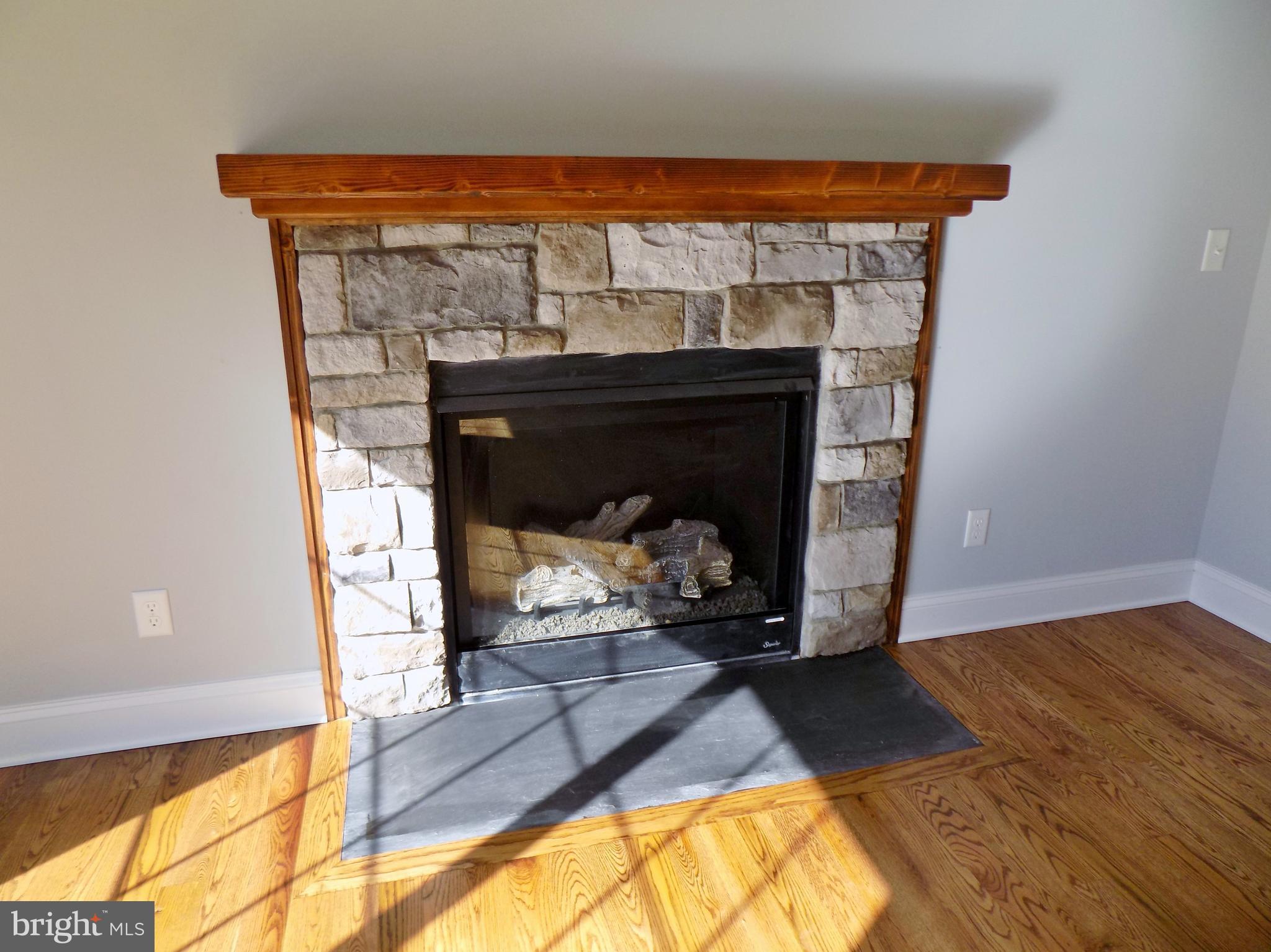785 Pyletown Road Boyce, VA 22620 - Photo 13 of 30 Stone Gas F.P. W/ Custom Mantle
