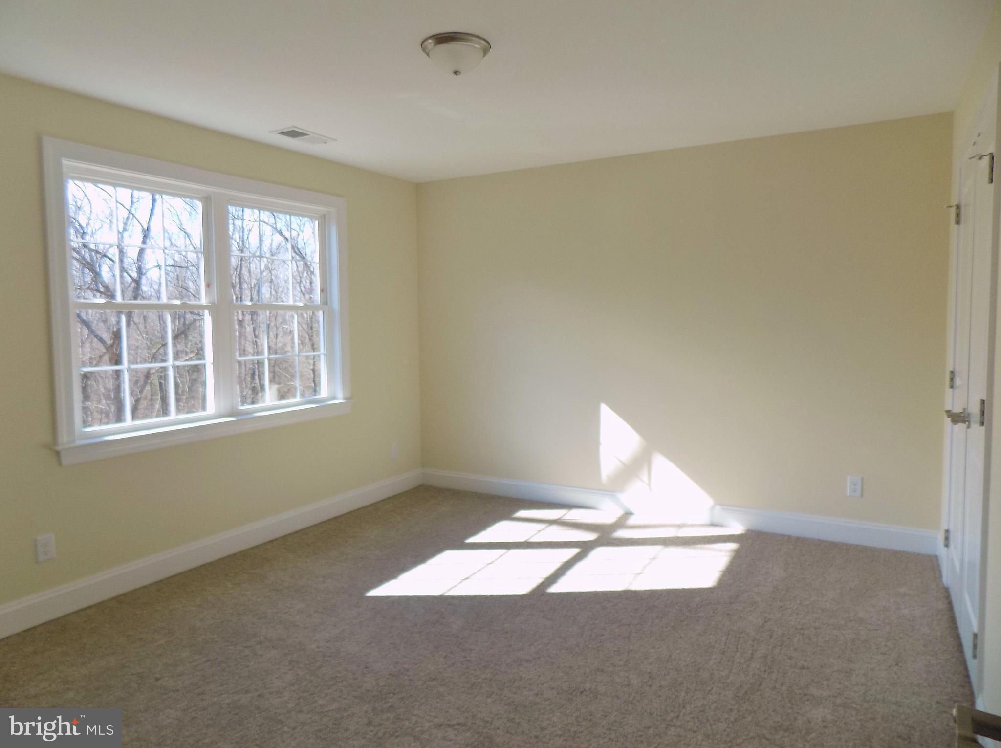 785 Pyletown Road Boyce, VA 22620 - Photo 21 of 30 Bedroom #1, Plush 40 Ounce Carpet, 14' x 12'
