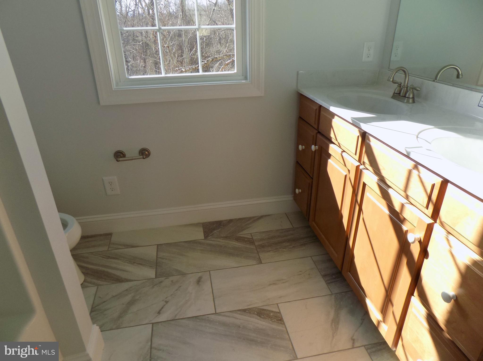 785 Pyletown Road Boyce, VA 22620 - Photo 23 of 30 Custom Tile Work In Hall Bath