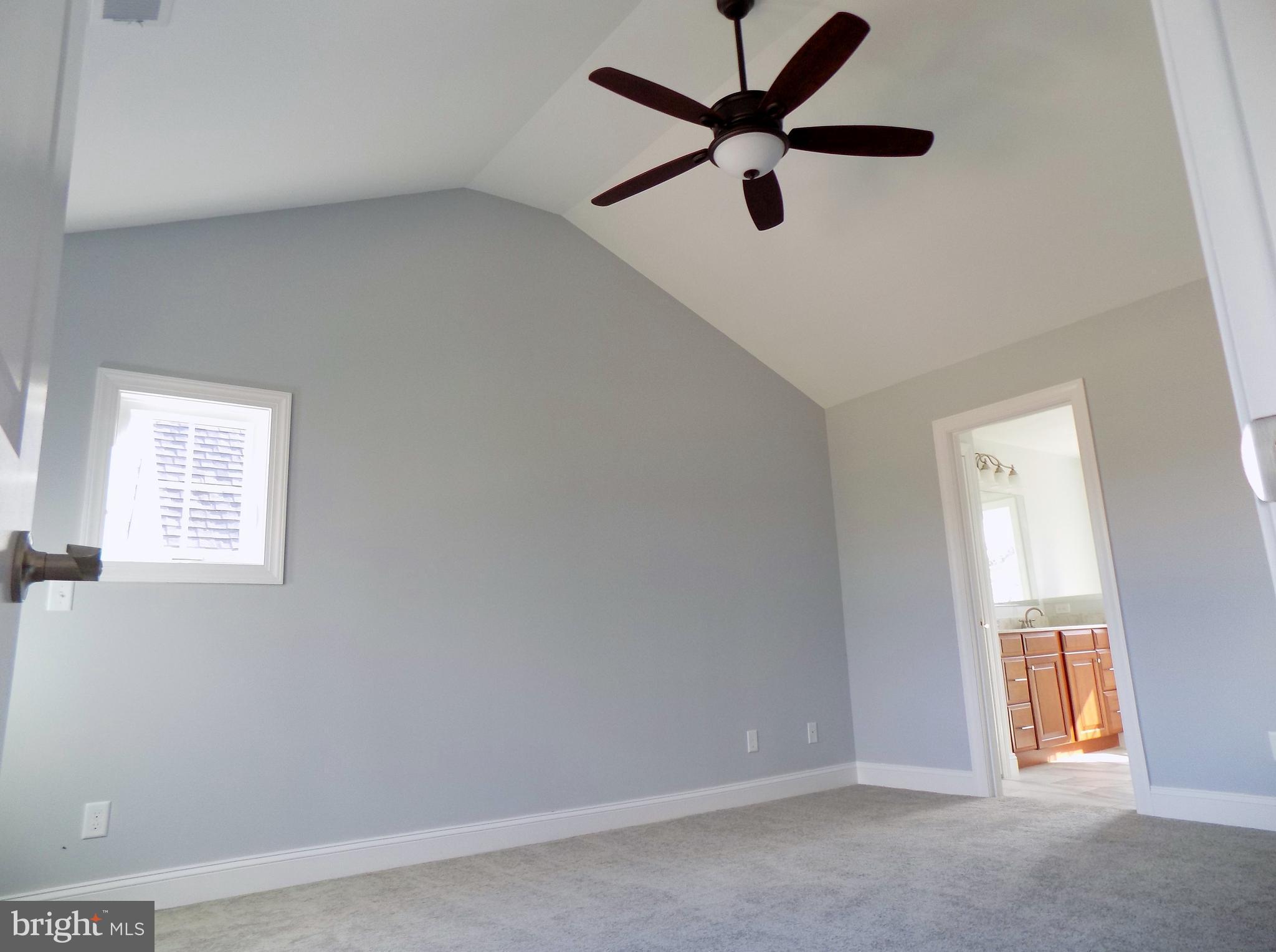 785 Pyletown Road Boyce, VA 22620 - Photo 26 of 30 Vaulted Ceilings & Walk In Closet