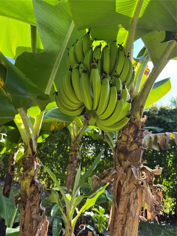 $1,249,000 | 3445 Northwest 87th Avenue, Cooper City, FL 33024