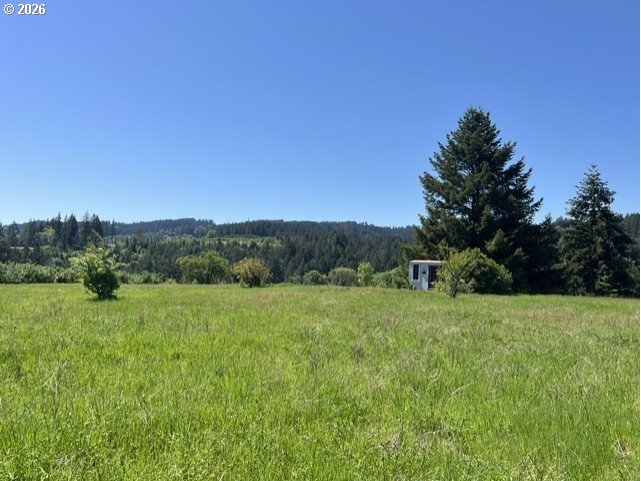 32784 Southwest Laurelview Road Hillsboro, OR 97123 - Photo 14 of 43