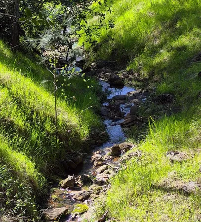 a backyard of a house with a yard and outdoor seating