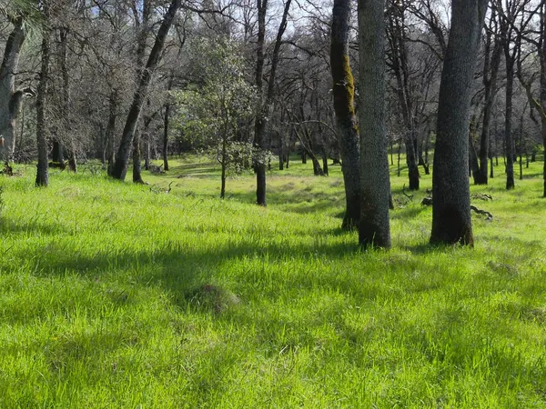 a view of park