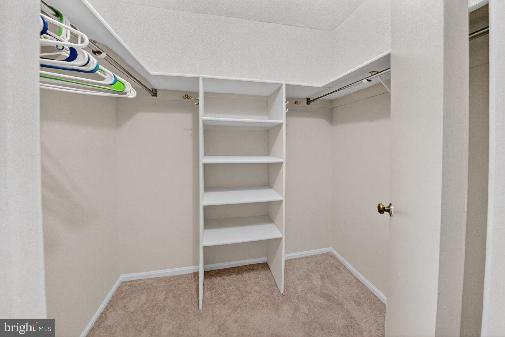 15107 Interlachen Drive, Unit 21025 Silver Spring, MD 20906 - Photo 21 of 38 a view of walk in closet with empty racks