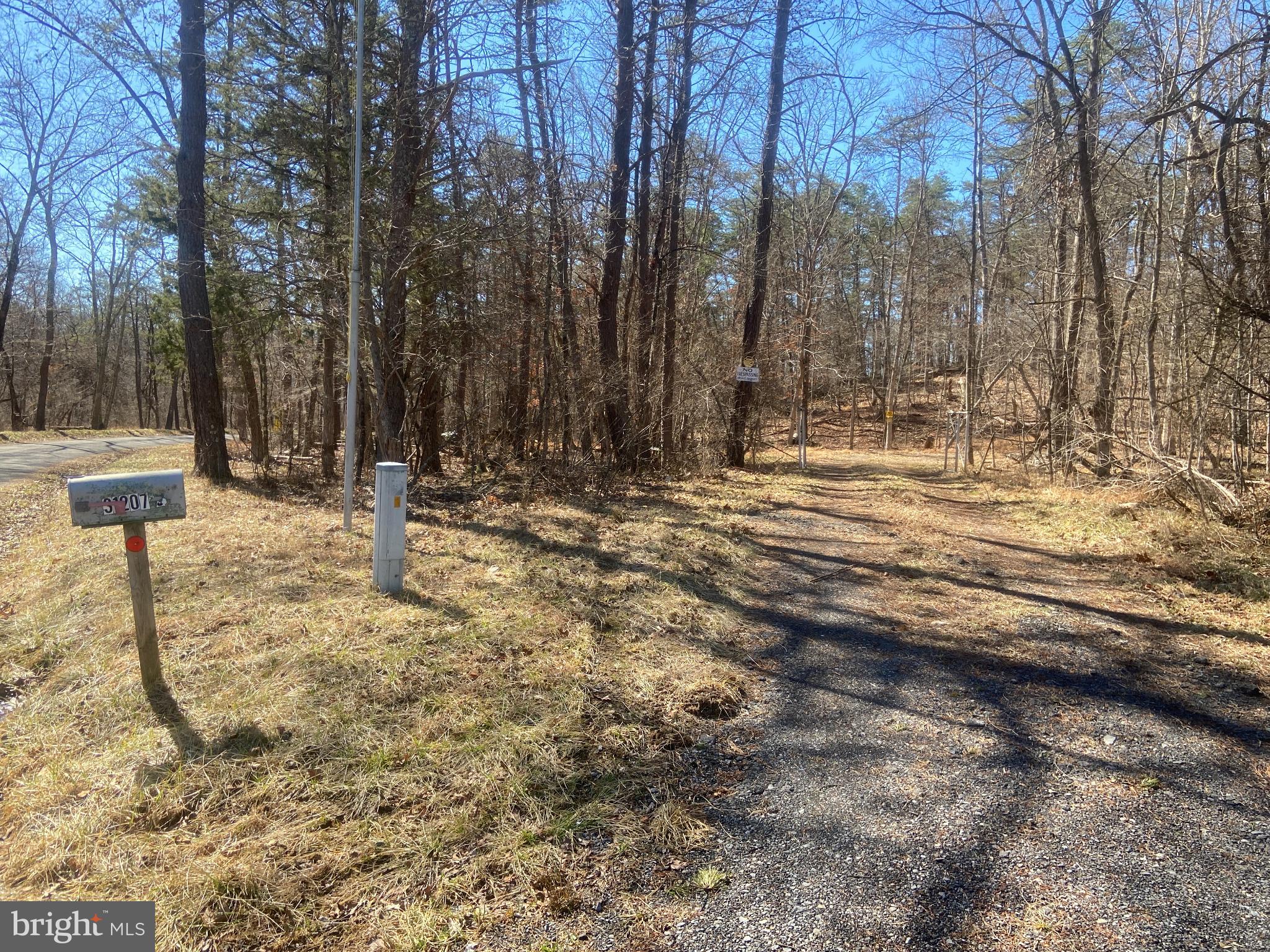 31207 Gold Plains Road Southeast Little Orleans, MD 21766 - Photo 25 of 96 a view of outdoor space with trees