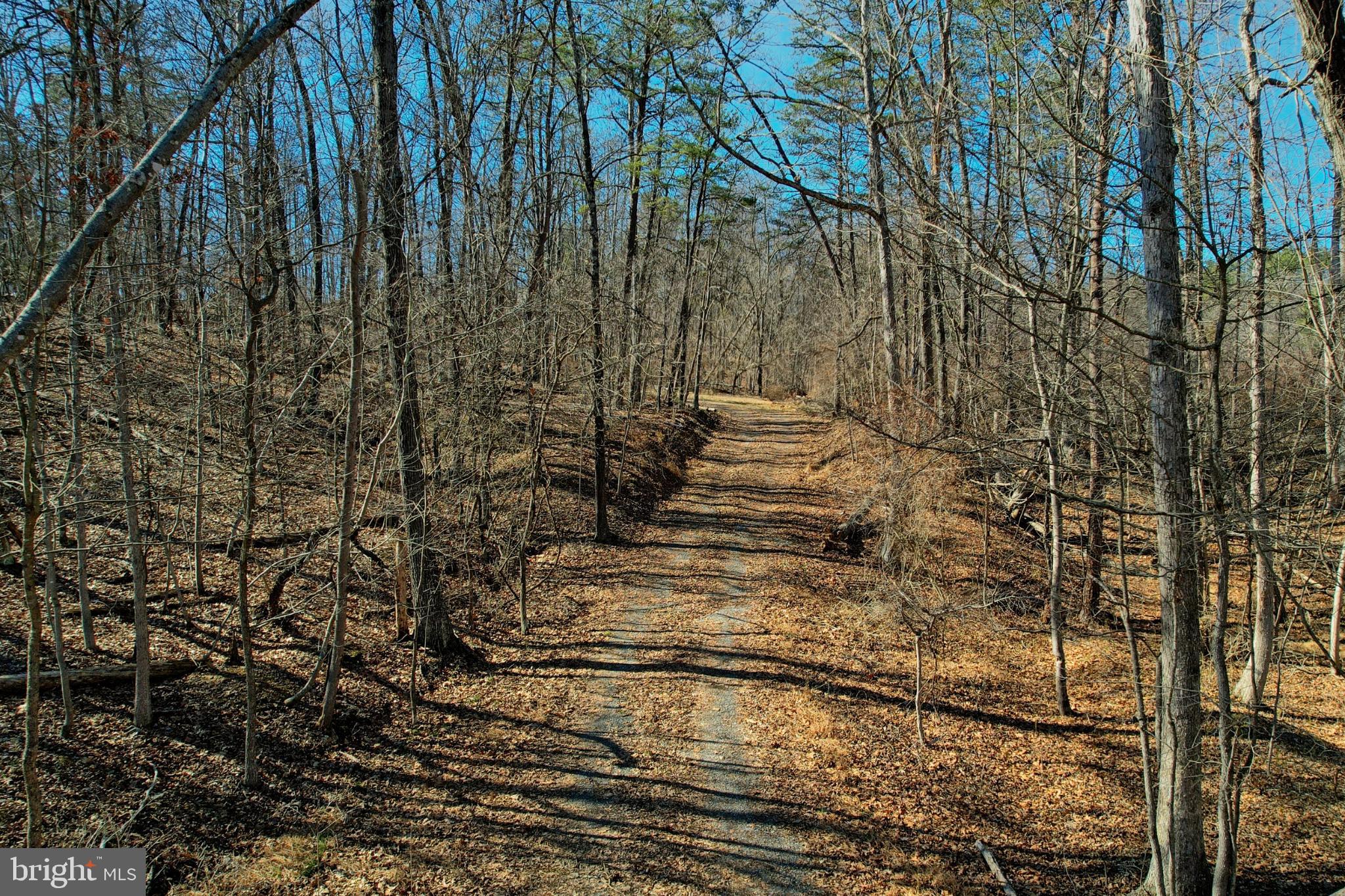 31207 Gold Plains Road Southeast Little Orleans, MD 21766 - Photo 27 of 96