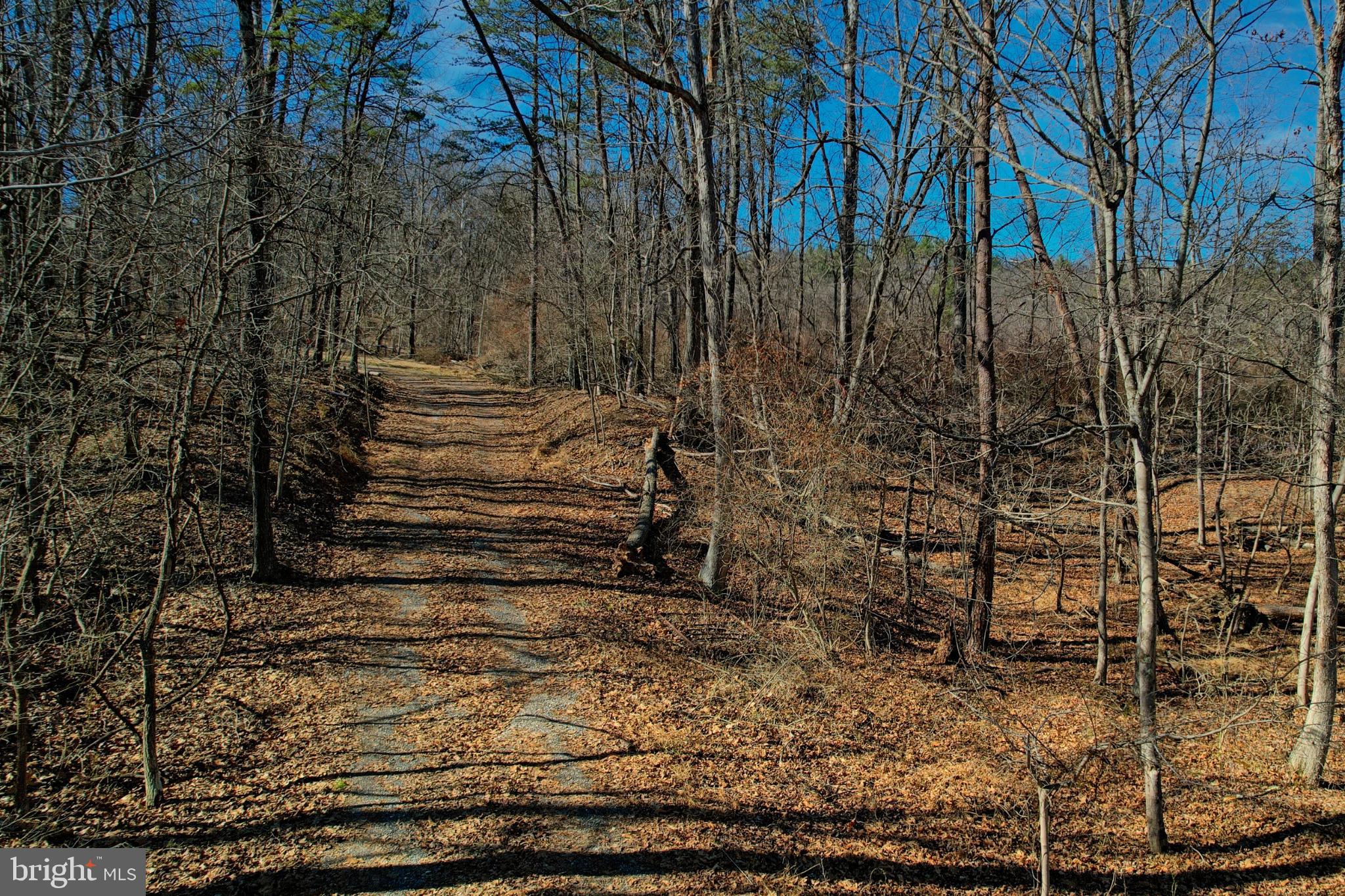 31207 Gold Plains Road Southeast Little Orleans, MD 21766 - Photo 28 of 96