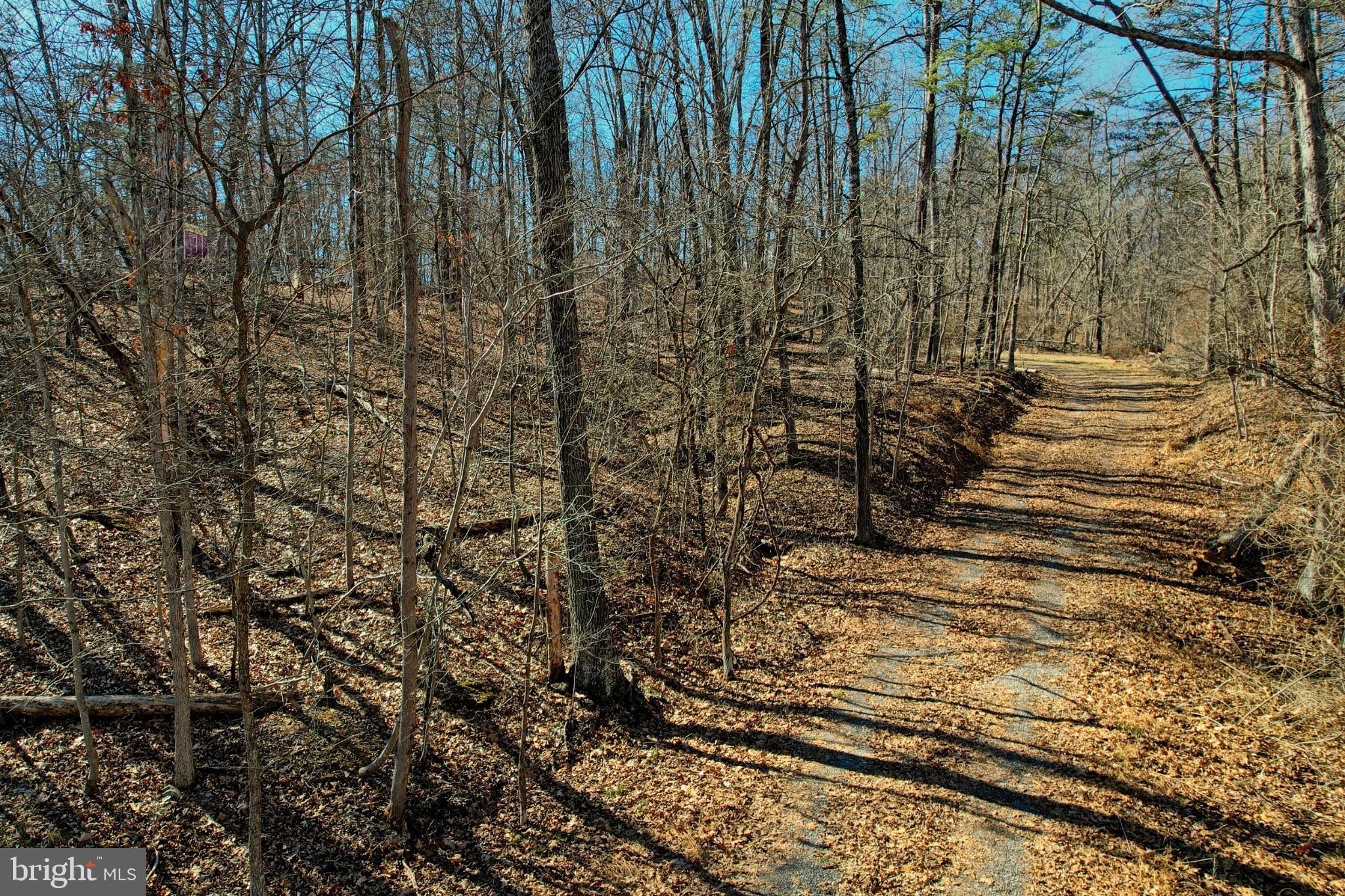 31207 Gold Plains Road Southeast Little Orleans, MD 21766 - Photo 29 of 96