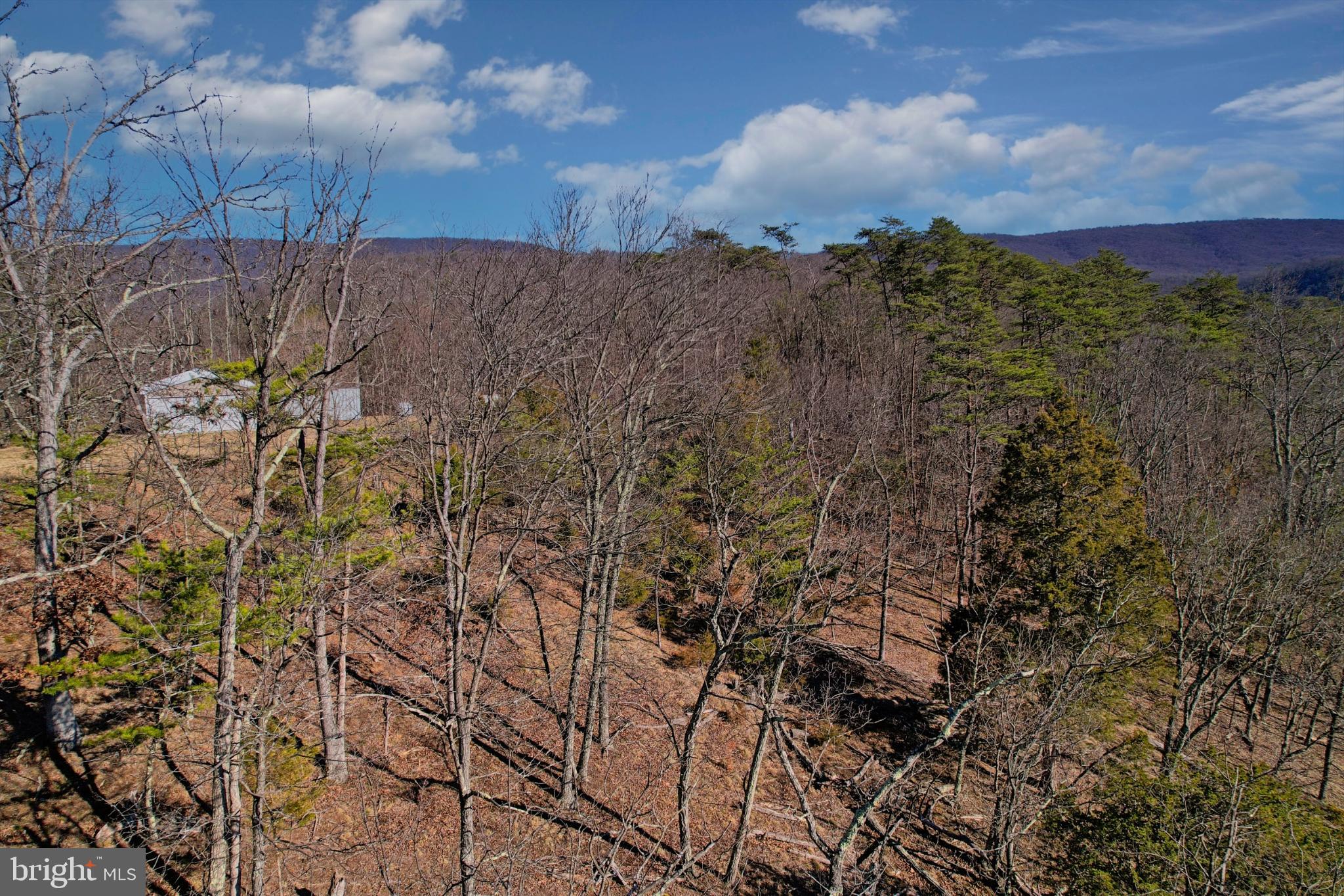 31207 Gold Plains Road Southeast Little Orleans, MD 21766 - Photo 31 of 96