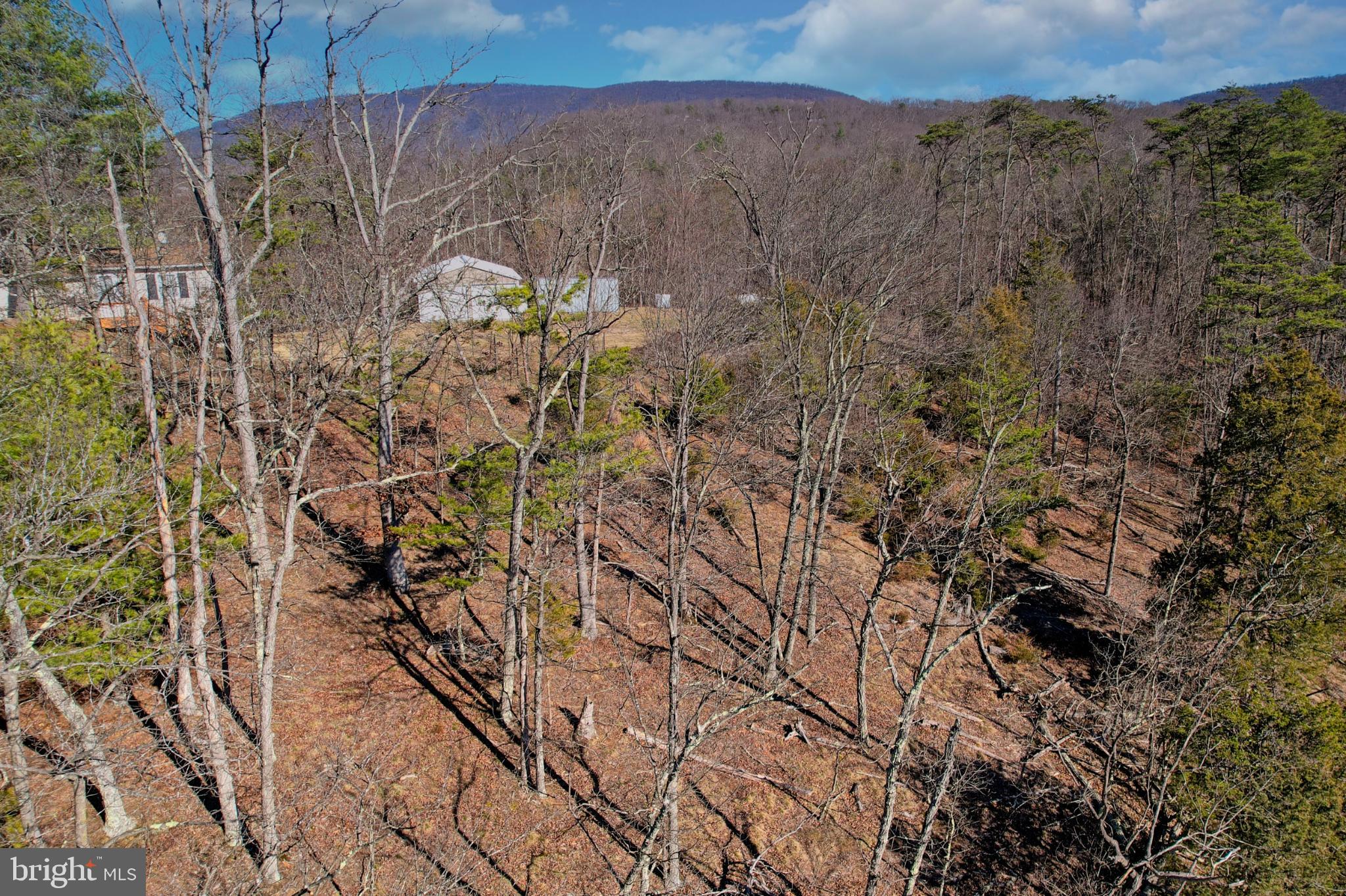 31207 Gold Plains Road Southeast Little Orleans, MD 21766 - Photo 32 of 96