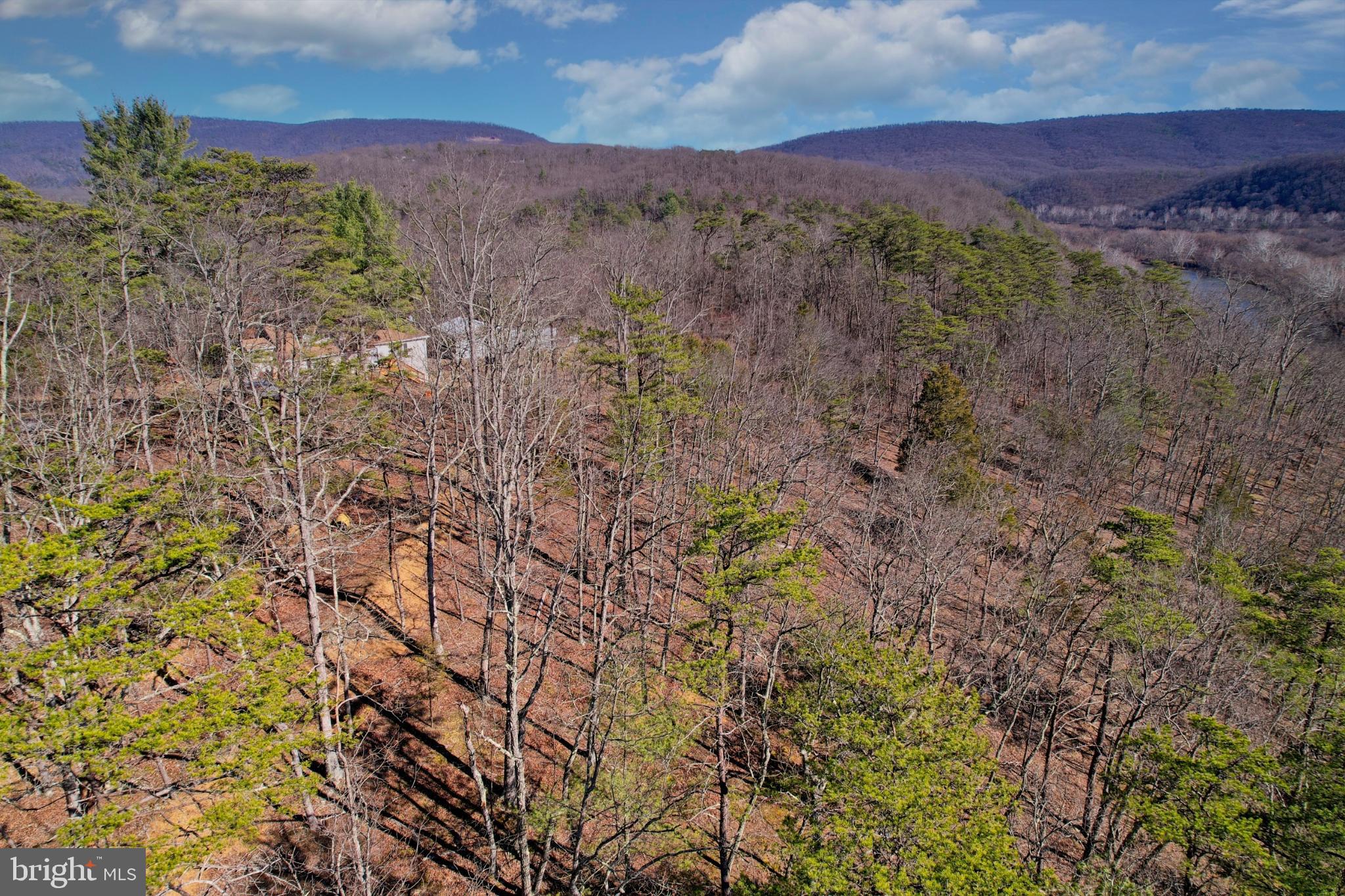 31207 Gold Plains Road Southeast Little Orleans, MD 21766 - Photo 34 of 96