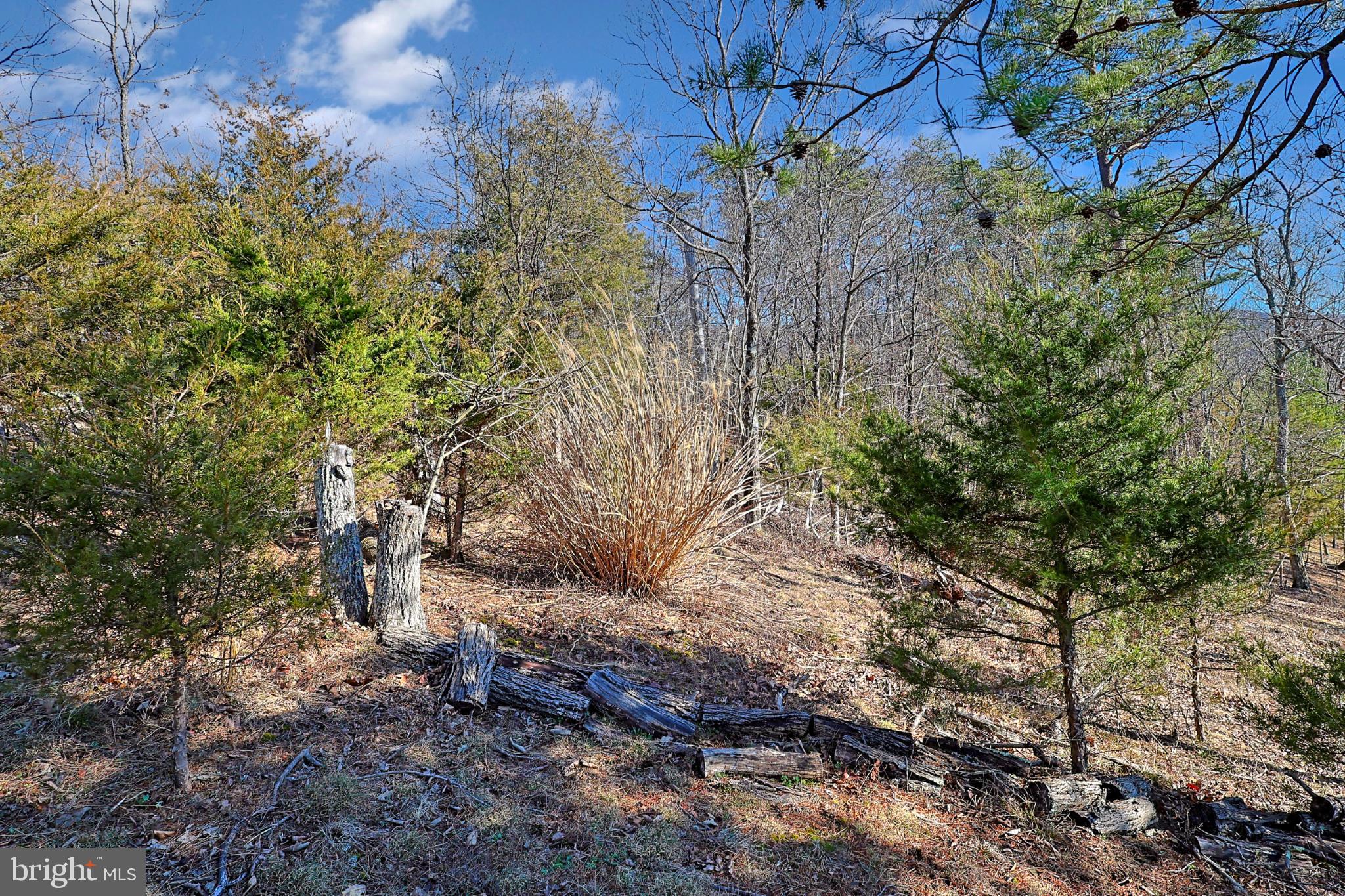 31207 Gold Plains Road Southeast Little Orleans, MD 21766 - Photo 36 of 96