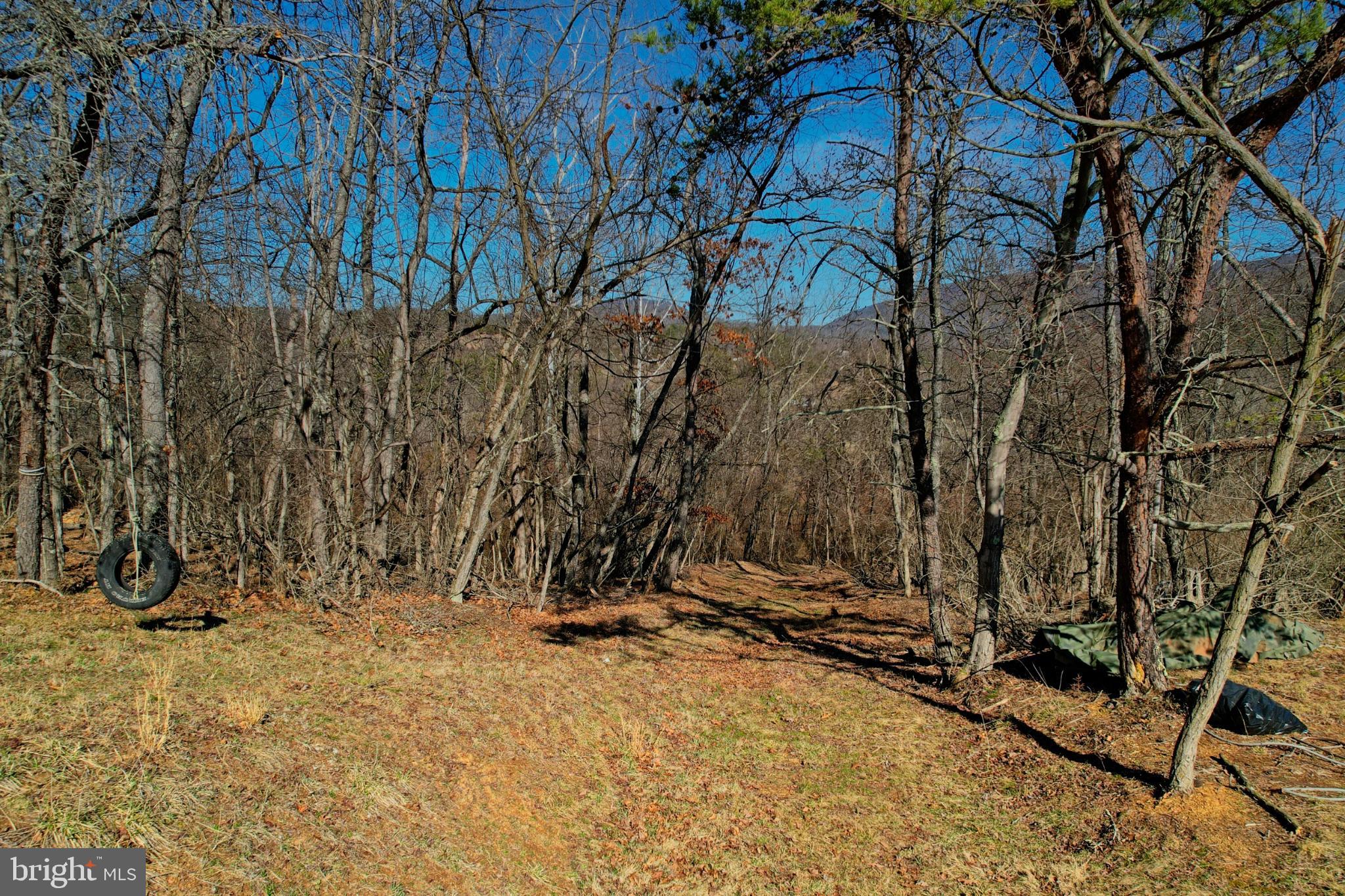 31207 Gold Plains Road Southeast Little Orleans, MD 21766 - Photo 39 of 96