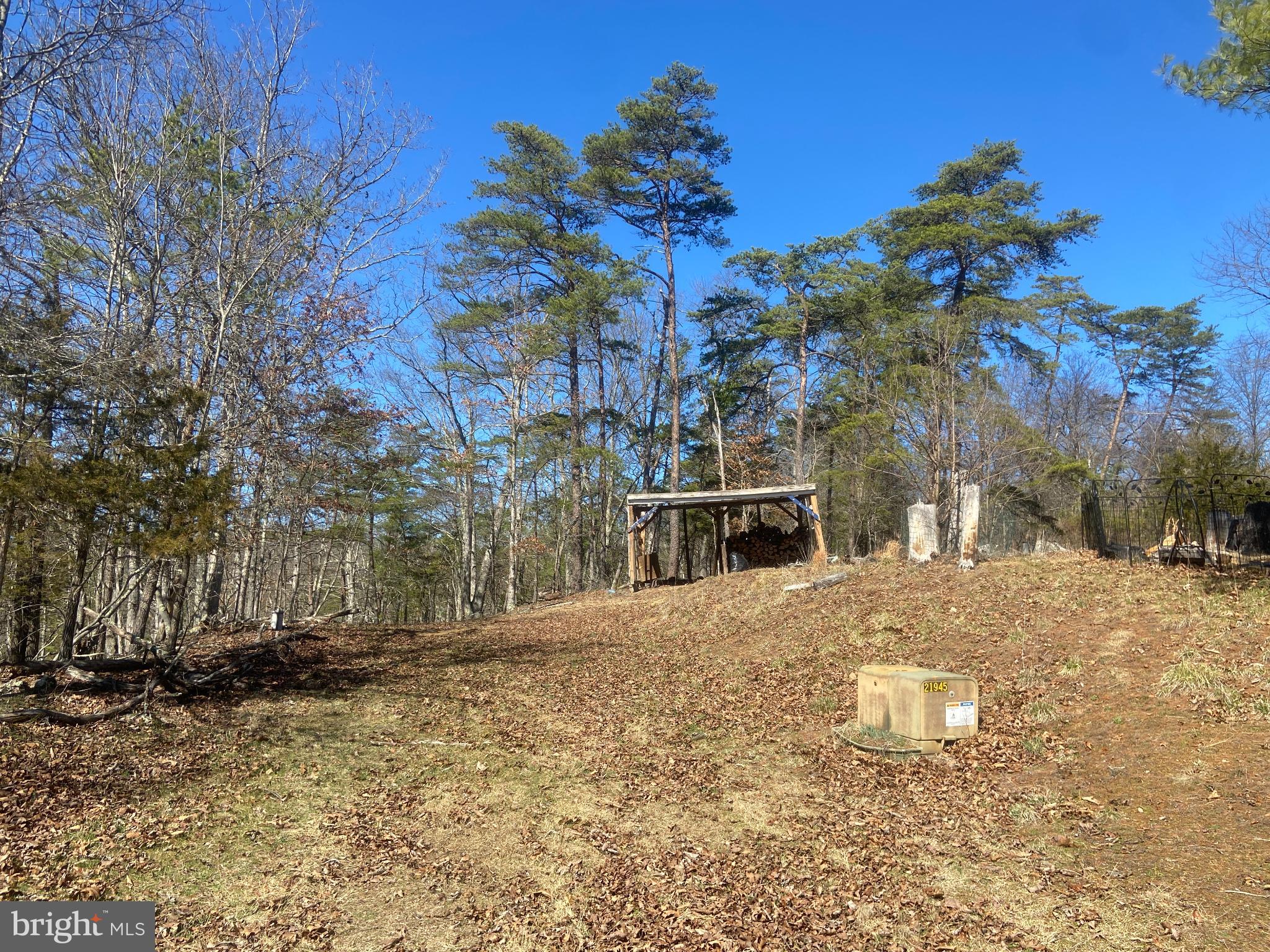 31207 Gold Plains Road Southeast Little Orleans, MD 21766 - Photo 40 of 96 a view of road with large trees