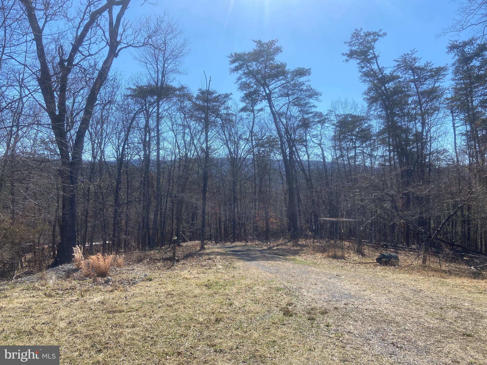 31207 Gold Plains Road Southeast Little Orleans, MD 21766 - Photo 41 of 96