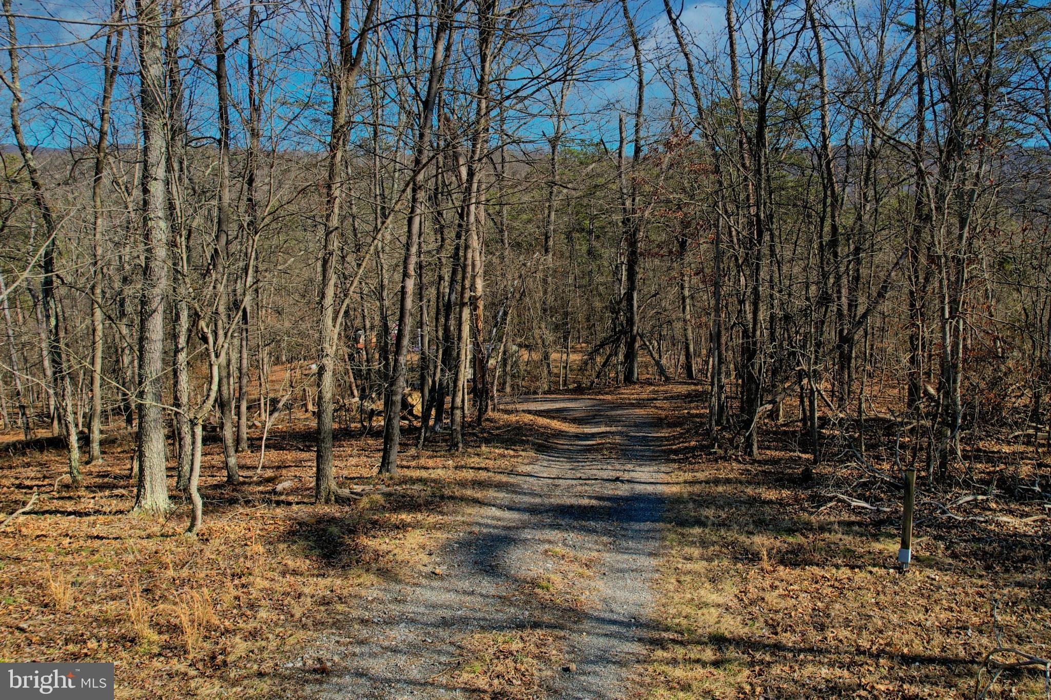 31207 Gold Plains Road Southeast Little Orleans, MD 21766 - Photo 42 of 96
