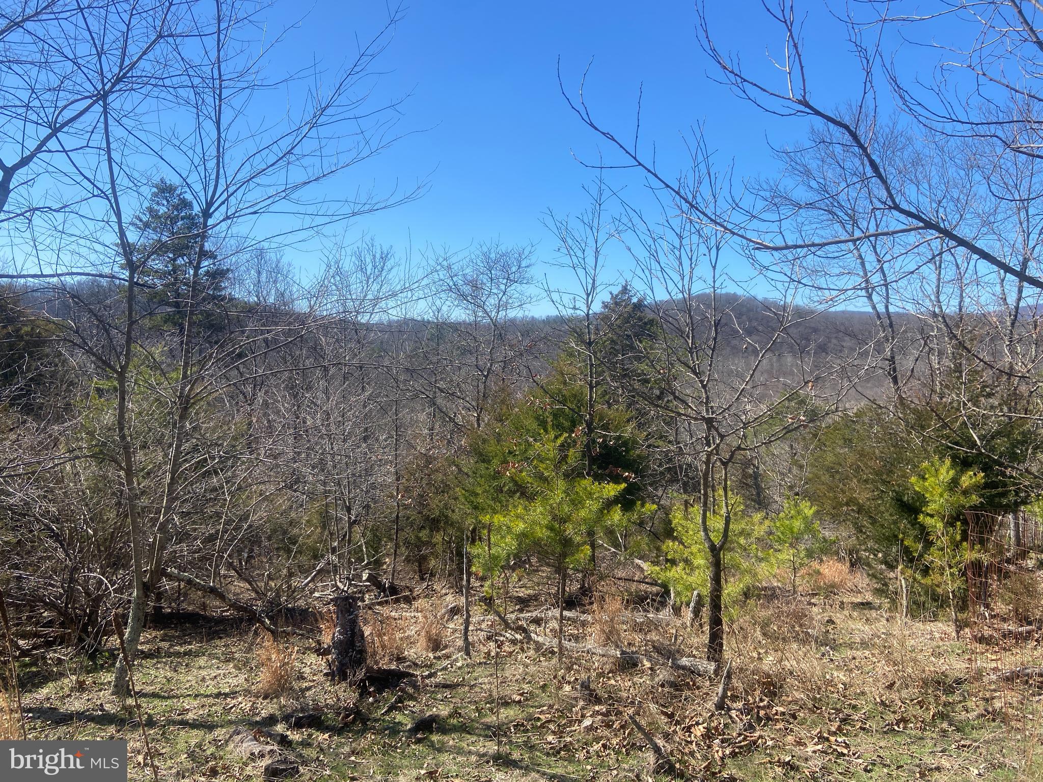 31207 Gold Plains Road Southeast Little Orleans, MD 21766 - Photo 43 of 96 a view of a yard