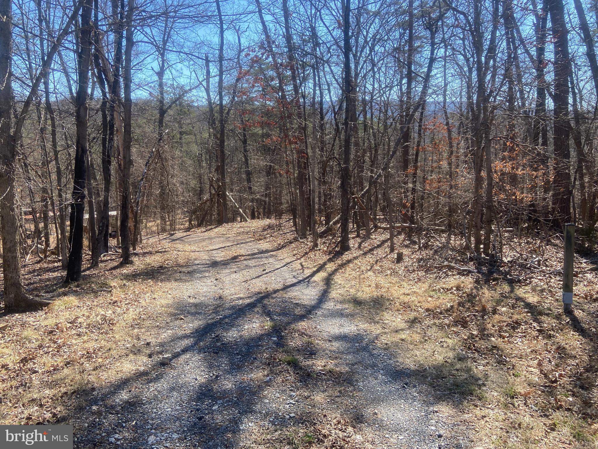 31207 Gold Plains Road Southeast Little Orleans, MD 21766 - Photo 46 of 96