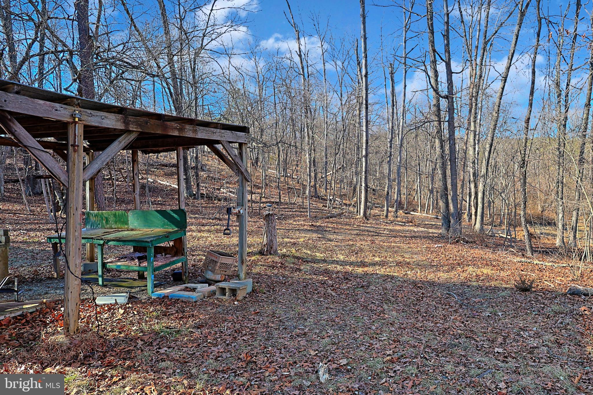 31207 Gold Plains Road Southeast Little Orleans, MD 21766 - Photo 49 of 96