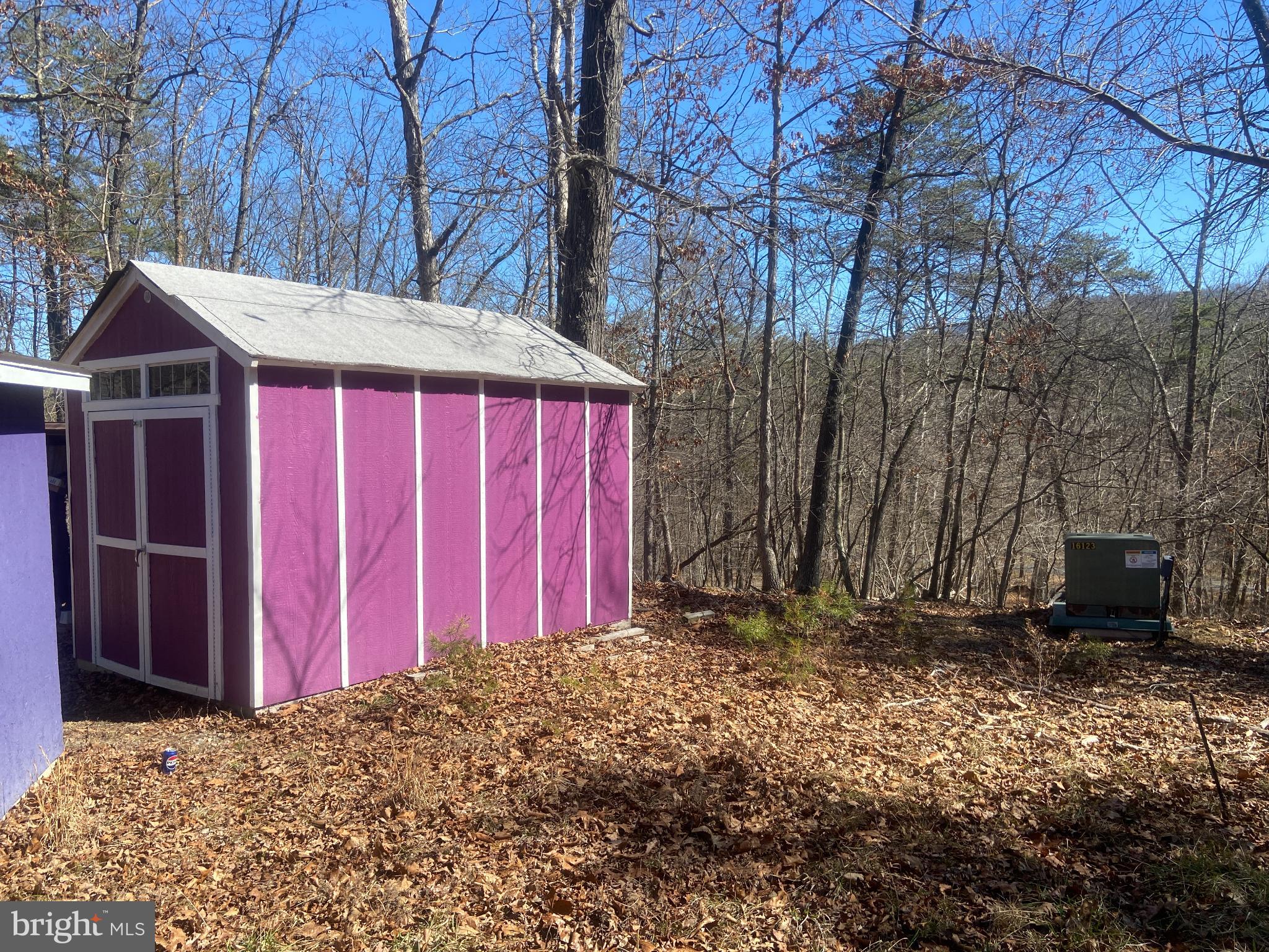 31207 Gold Plains Road Southeast Little Orleans, MD 21766 - Photo 53 of 96 a view of barn with large windows