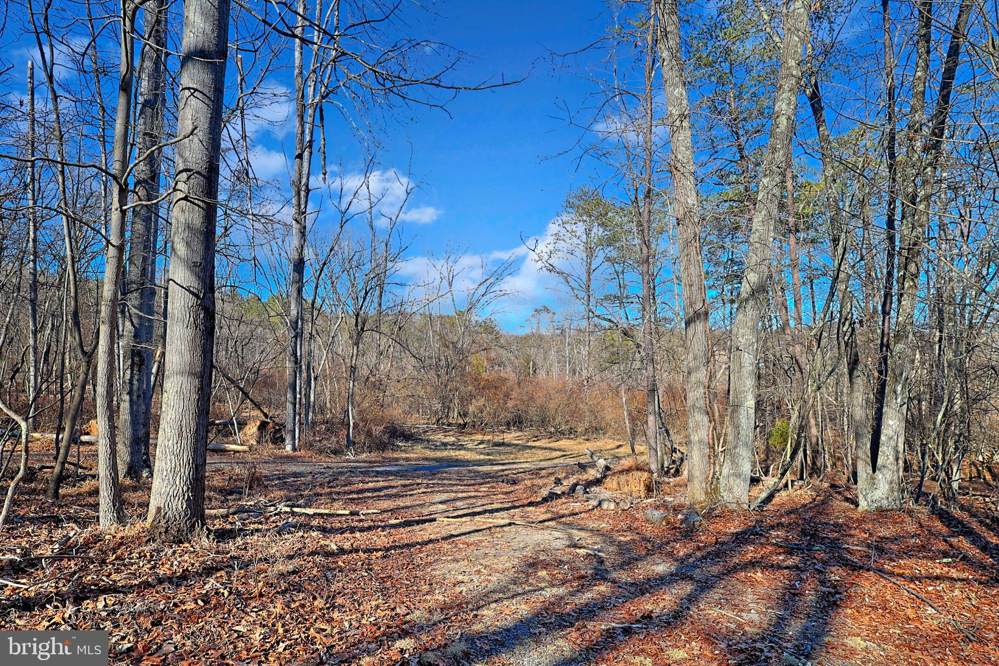 31207 Gold Plains Road Southeast Little Orleans, MD 21766 - Photo 54 of 96