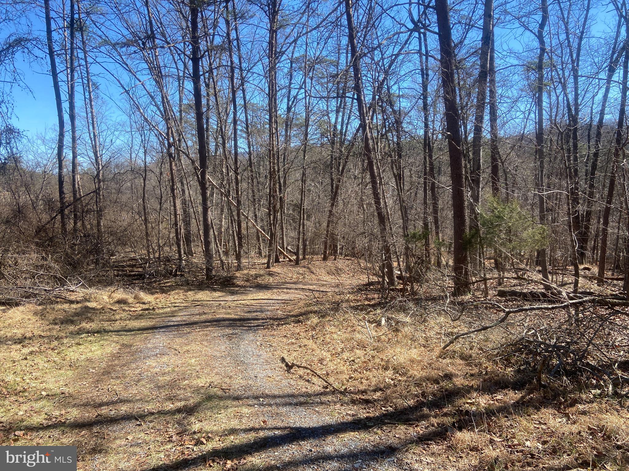 31207 Gold Plains Road Southeast Little Orleans, MD 21766 - Photo 55 of 96 a view of a backyard of a house