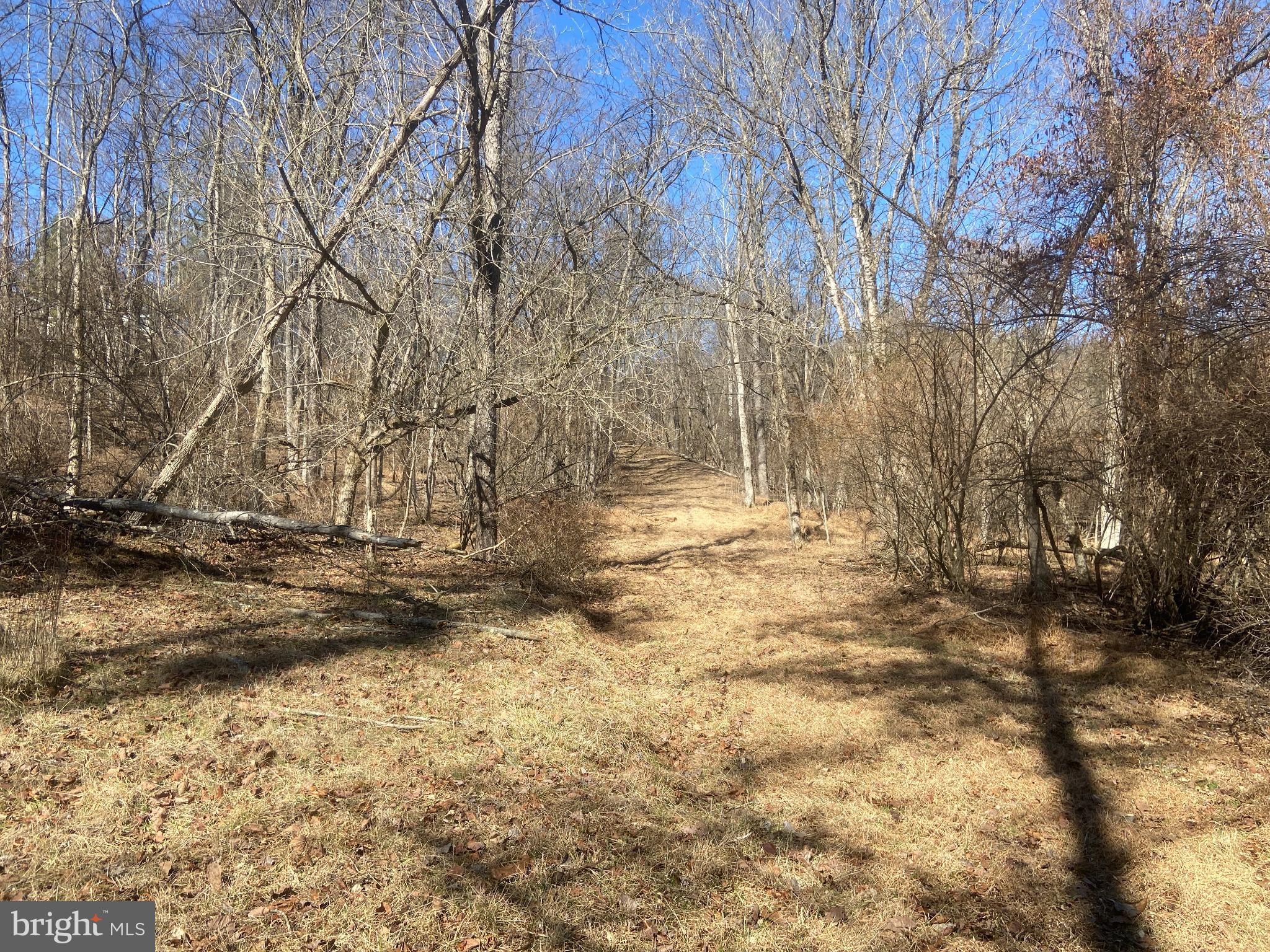 31207 Gold Plains Road Southeast Little Orleans, MD 21766 - Photo 58 of 96 a view of yard covered with snow