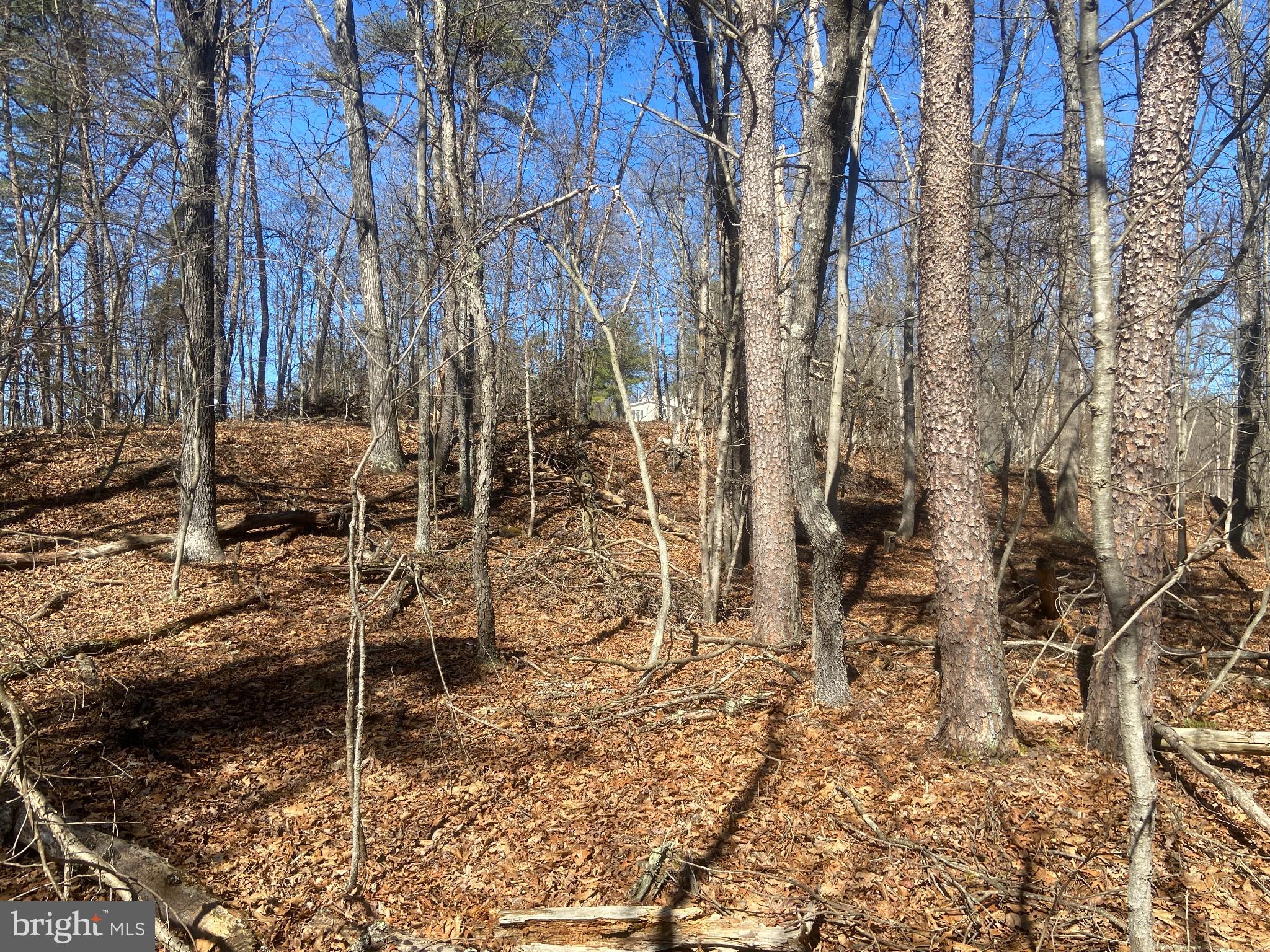 31207 Gold Plains Road Southeast Little Orleans, MD 21766 - Photo 60 of 96 a backyard of a house with table and chairs