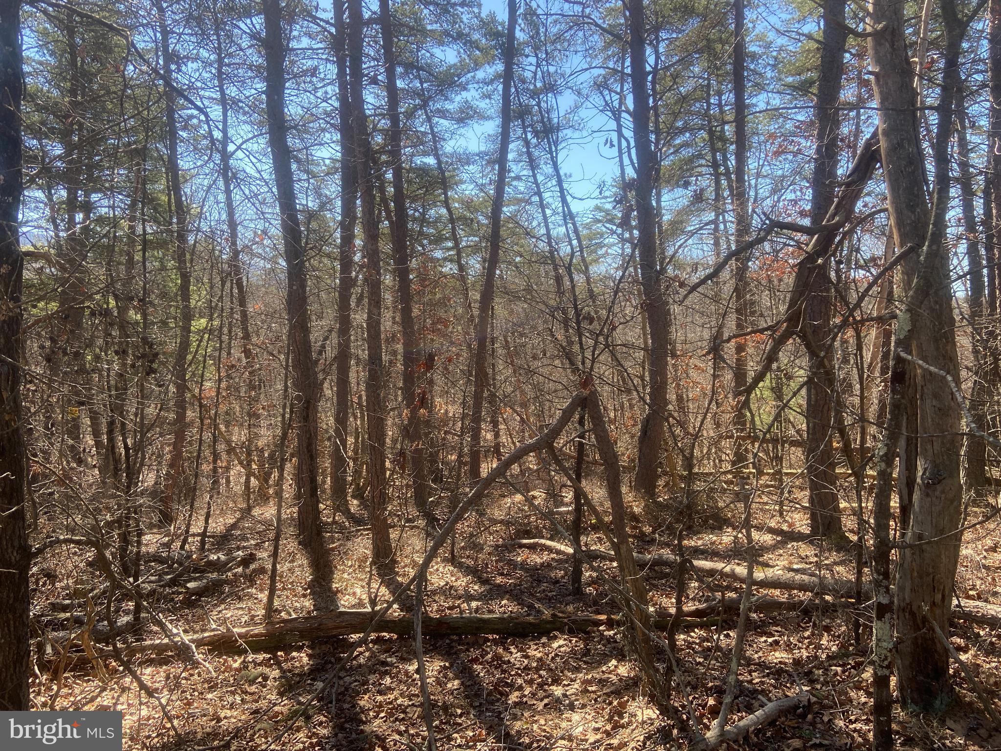 31207 Gold Plains Road Southeast Little Orleans, MD 21766 - Photo 61 of 96