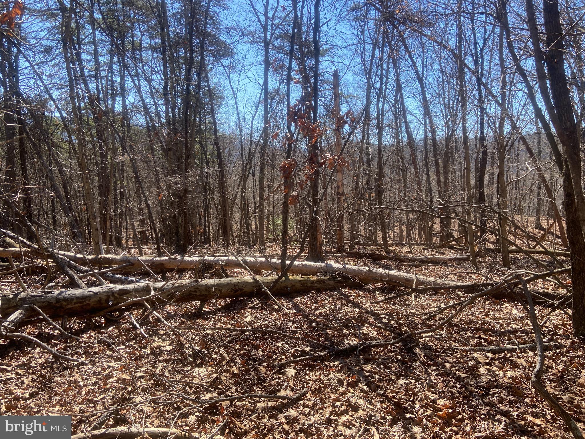 31207 Gold Plains Road Southeast Little Orleans, MD 21766 - Photo 70 of 96