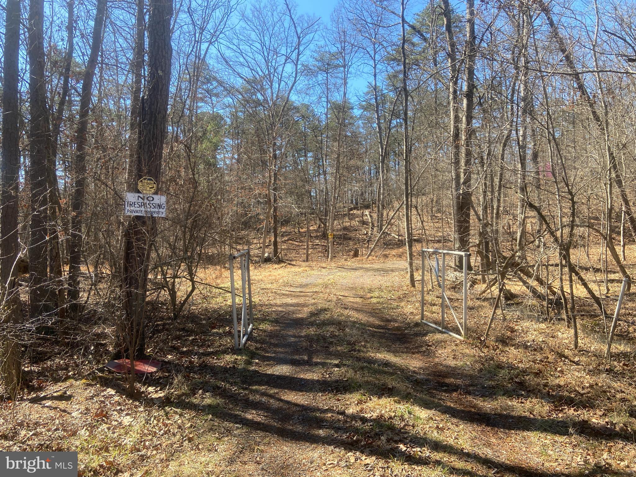 31207 Gold Plains Road Southeast Little Orleans, MD 21766 - Photo 71 of 96 a view of empty space with trees