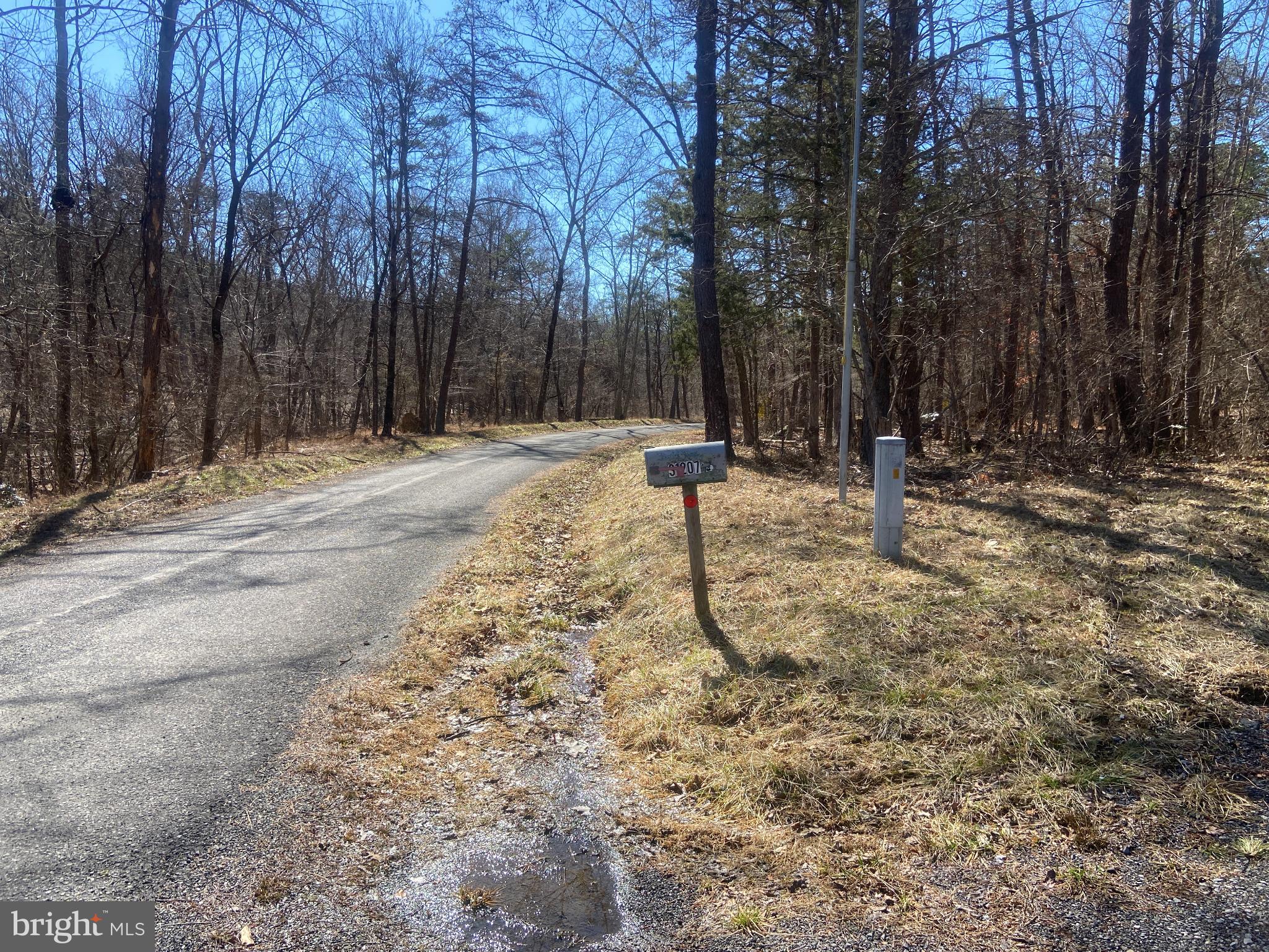 31207 Gold Plains Road Southeast Little Orleans, MD 21766 - Photo 72 of 96 a backyard of a house with lots of green space