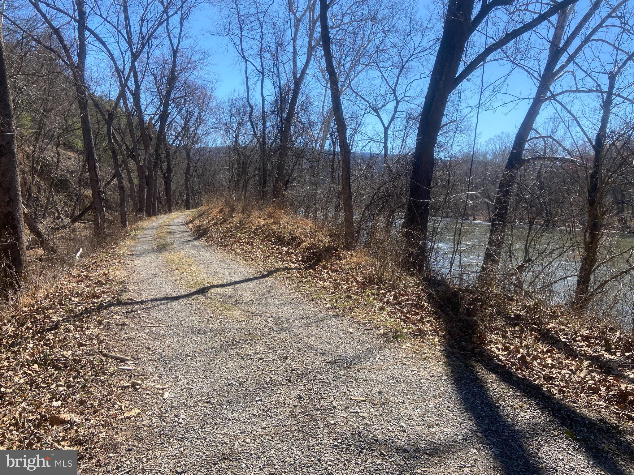 31207 Gold Plains Road Southeast Little Orleans, MD 21766 - Photo 84 of 96 a view of a yard with trees
