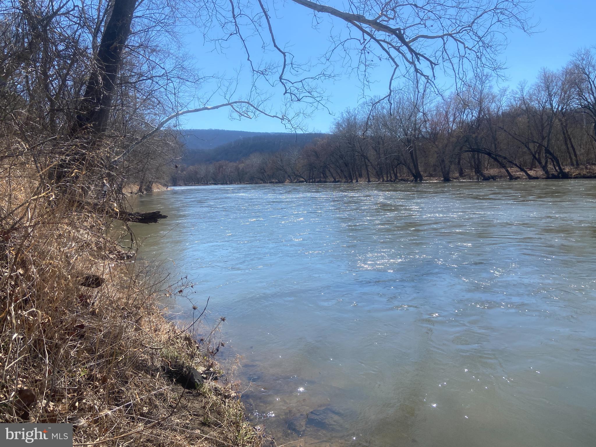 31207 Gold Plains Road Southeast Little Orleans, MD 21766 - Photo 89 of 96 a view of a backyard of the house