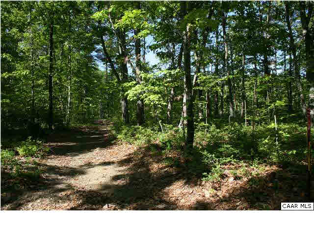 1 Deane Road Louisa, VA 23093 - Photo 1 of 1 a view of a back yard