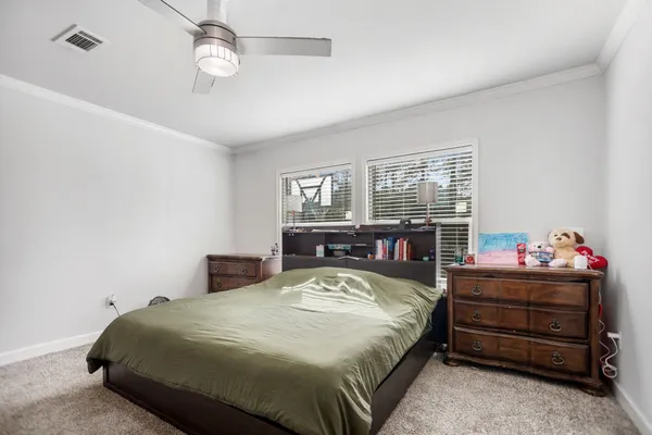a view of a yard with plants and a lots of trees