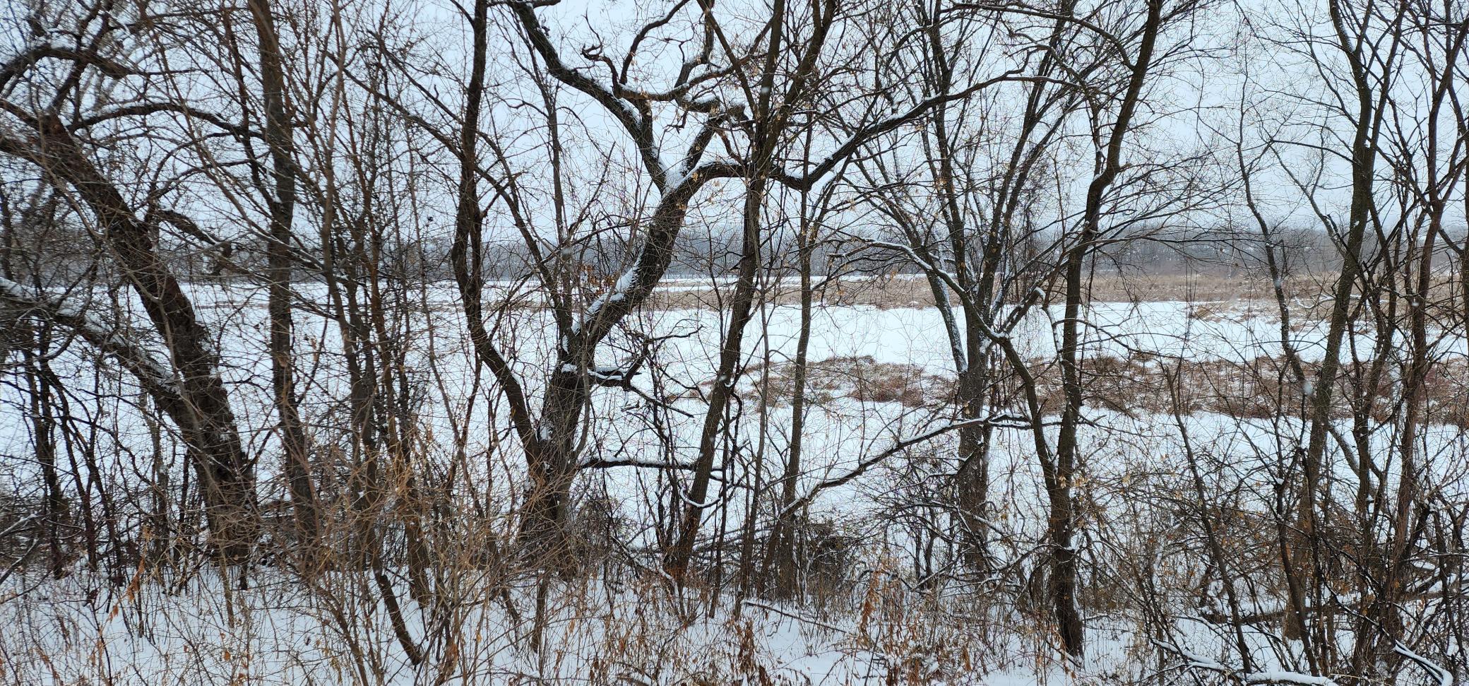 2250 Goodview Road Winona, MN 55987 - Photo 3 of 7