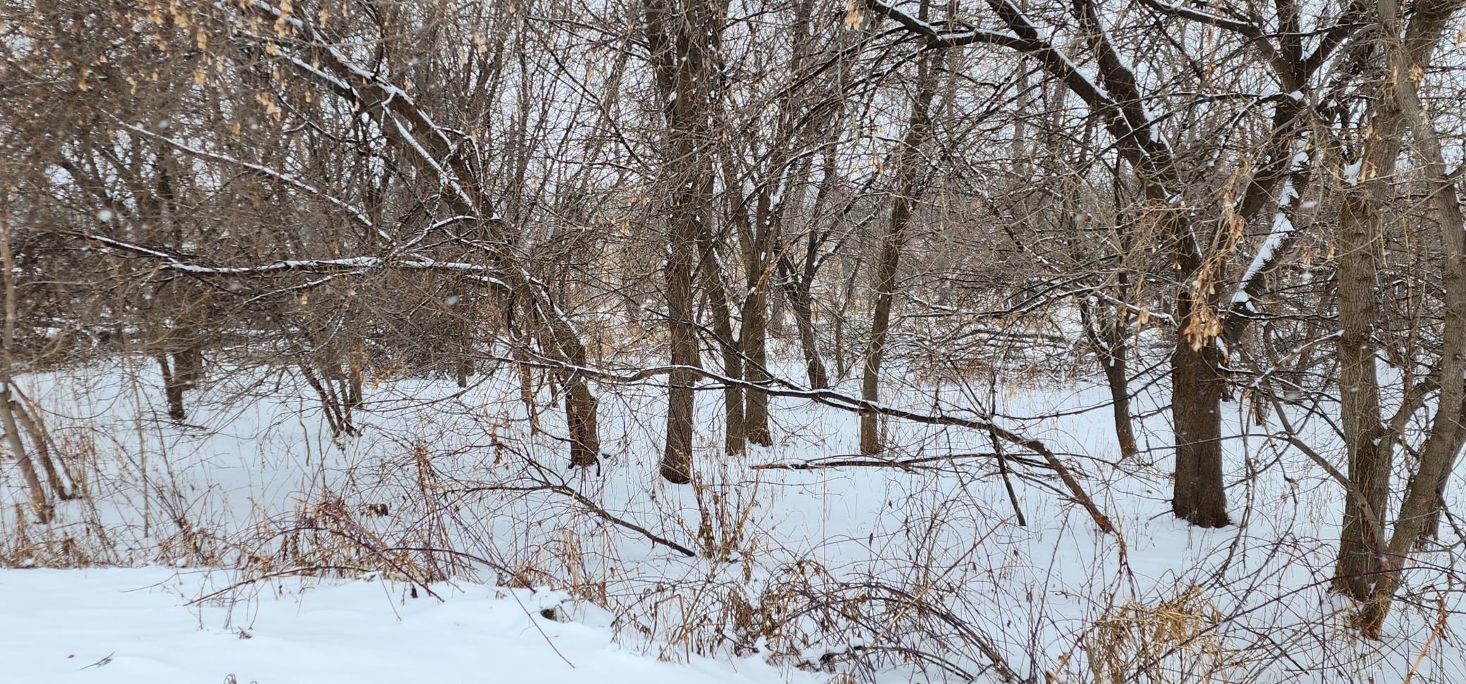 2250 Goodview Road Winona, MN 55987 - Photo 7 of 7