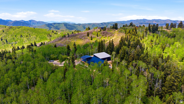 1000 West Upper Cove Road Park City, UT 84098 - Photo 5 of 63 Modern mountain residence nestled among extensive mature trees.