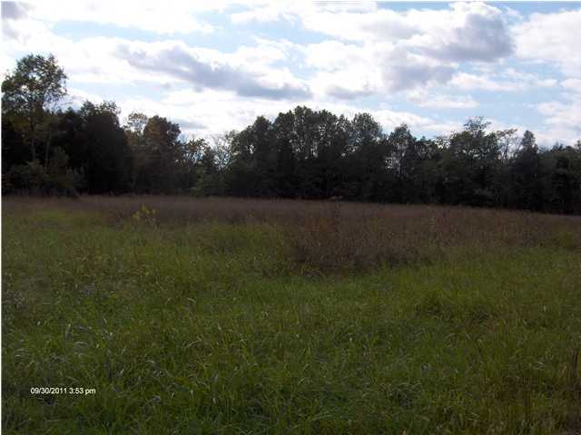 1470 Masden Road Boston, KY 40107 - Photo 2 of 3 Additional Photo